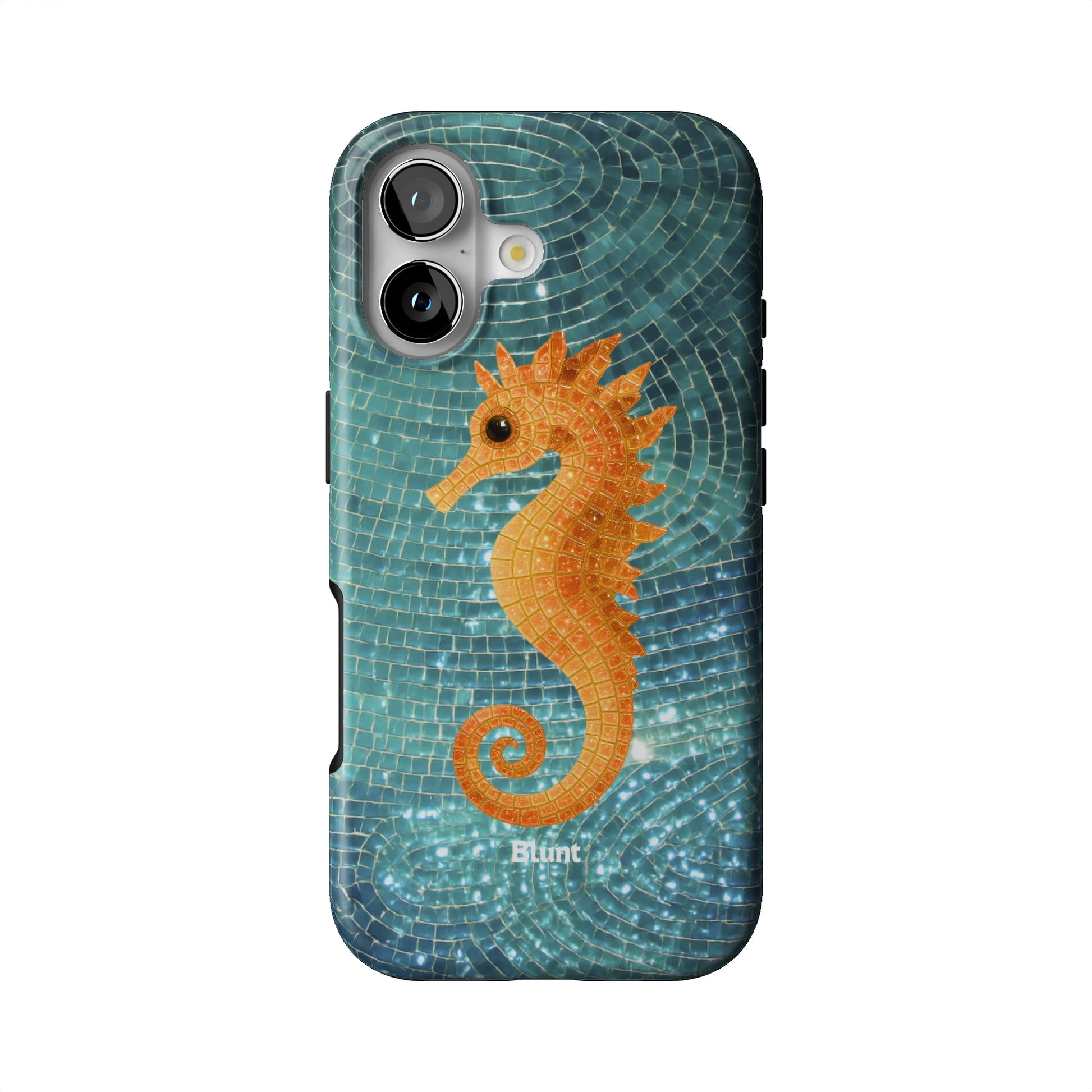 Aqua iPhone Case gallery - Iphone_17_Iphone_1