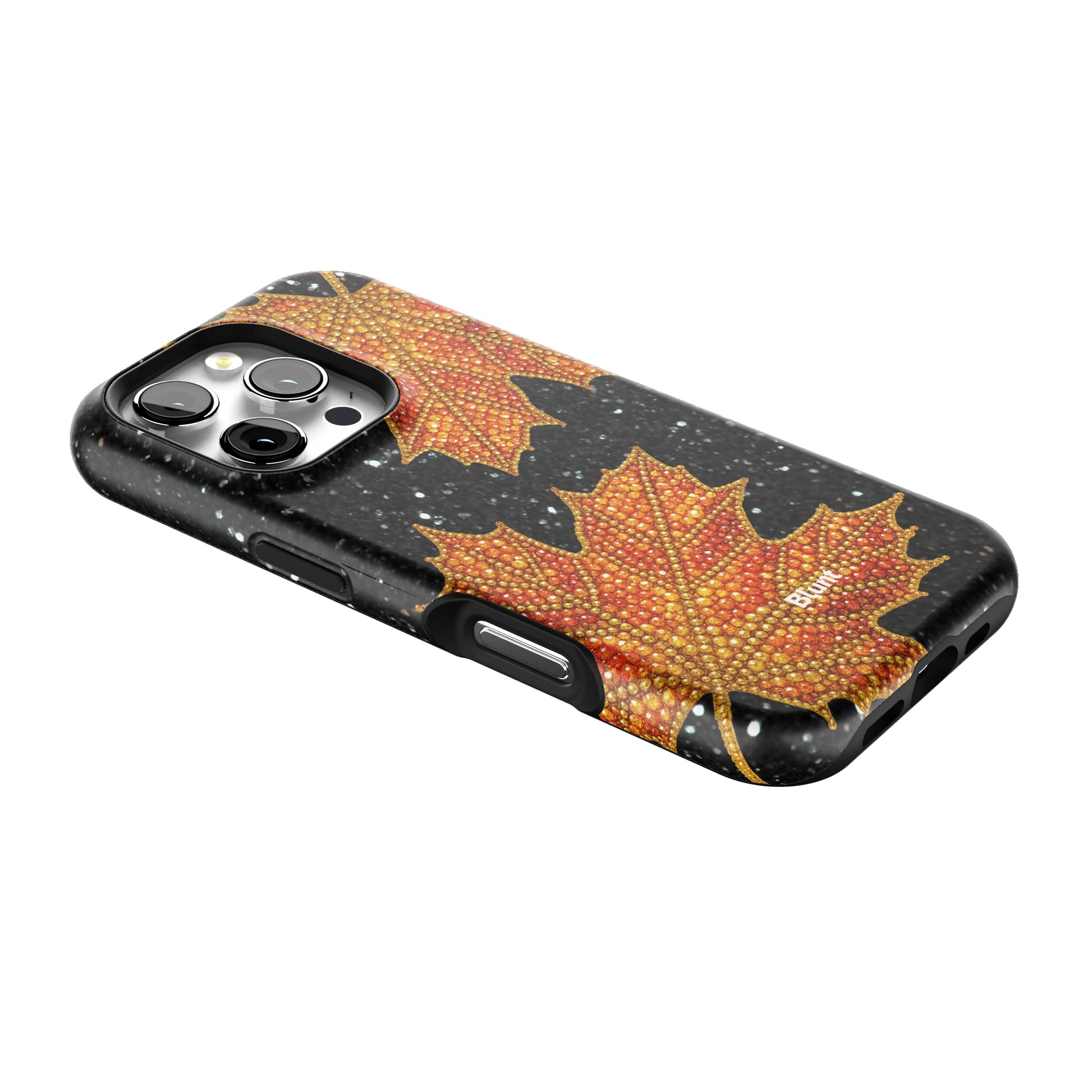 Autumn iPhone Case gallery - Iphone_16_Pro_2