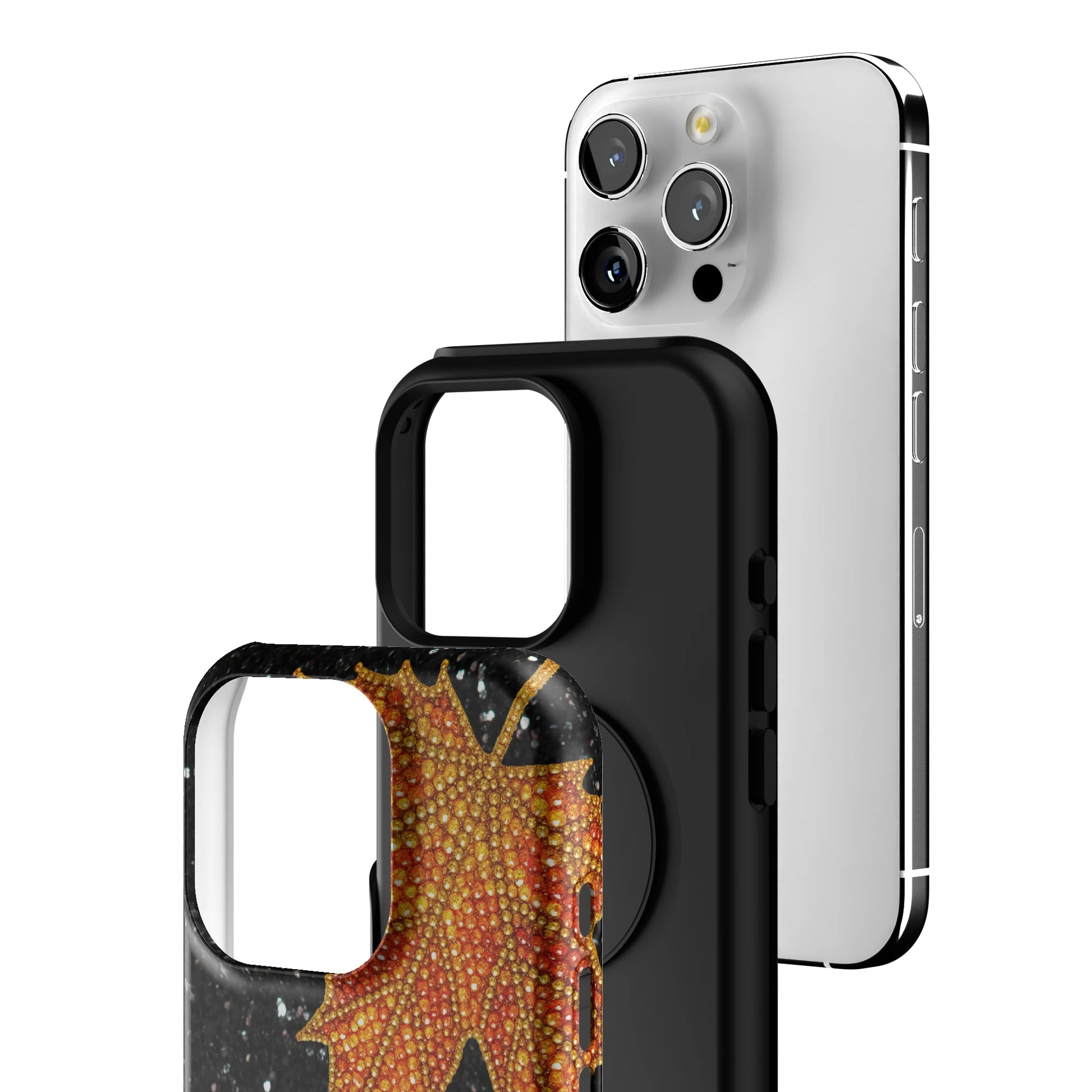 Autumn iPhone Case gallery - Iphone_16_Pro_3