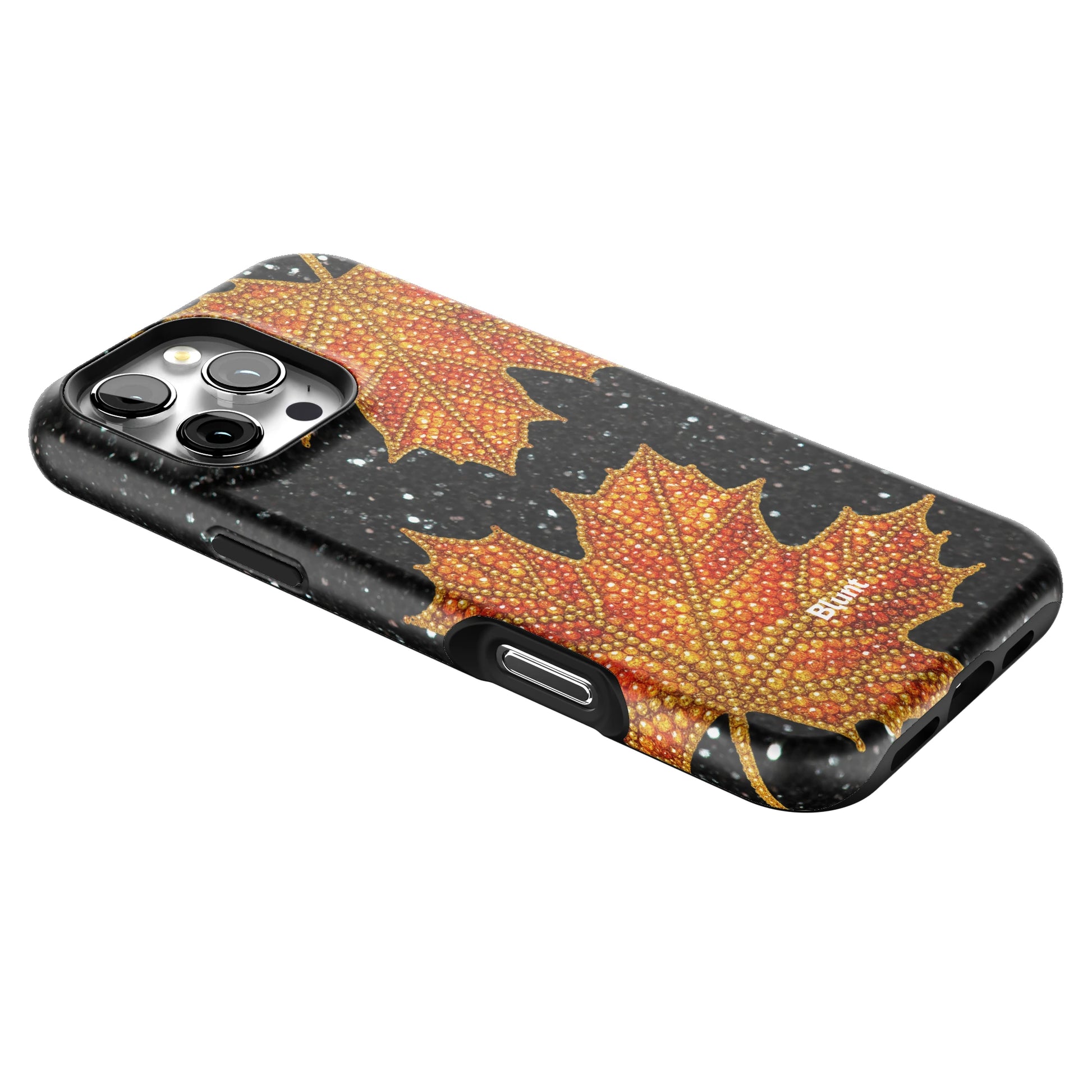 Autumn iPhone Case gallery - Iphone_16_Pro_Max_2