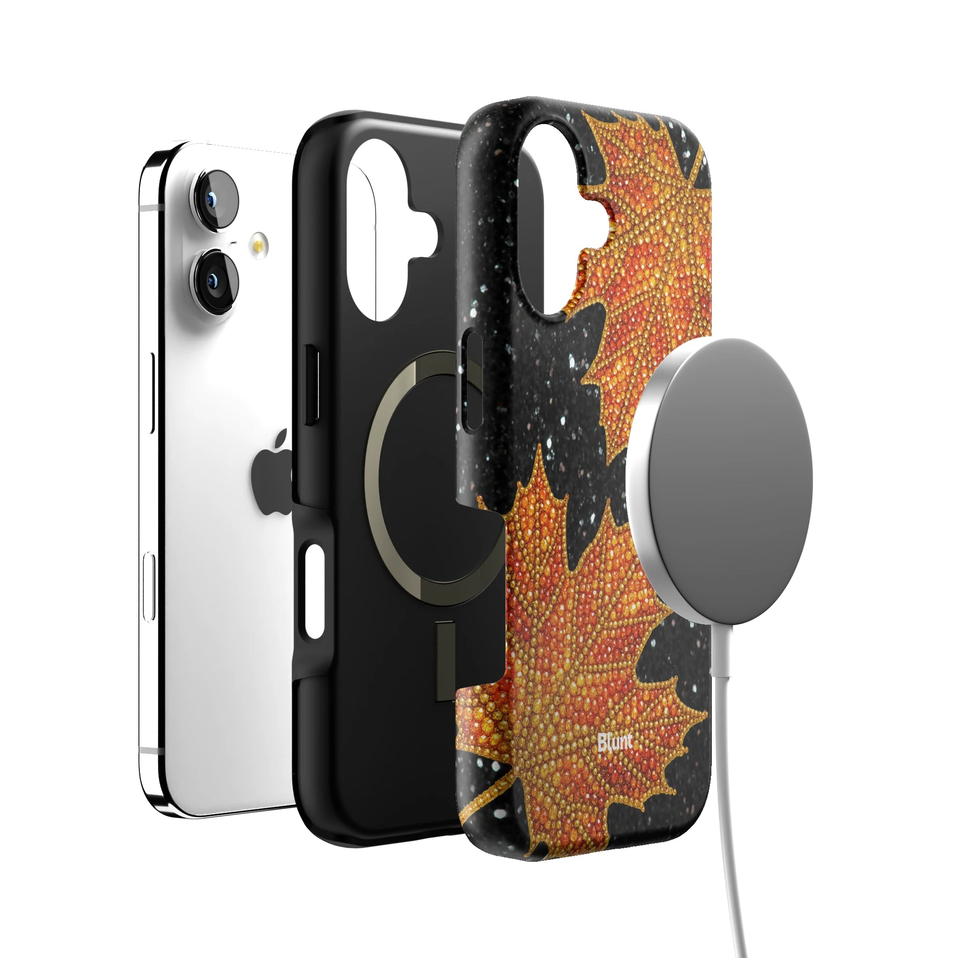 Autumn iPhone Case gallery - Iphone_17_Iphone_4