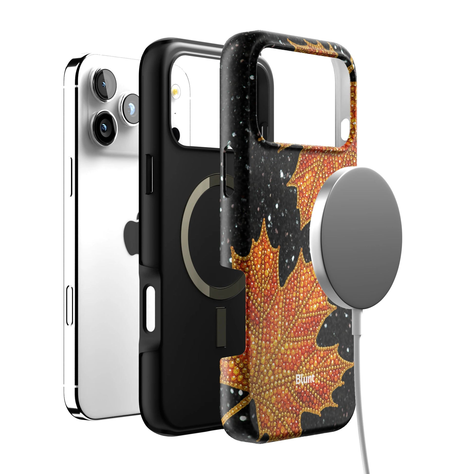 Autumn iPhone Case gallery - Iphone_17_Pro_Max_4