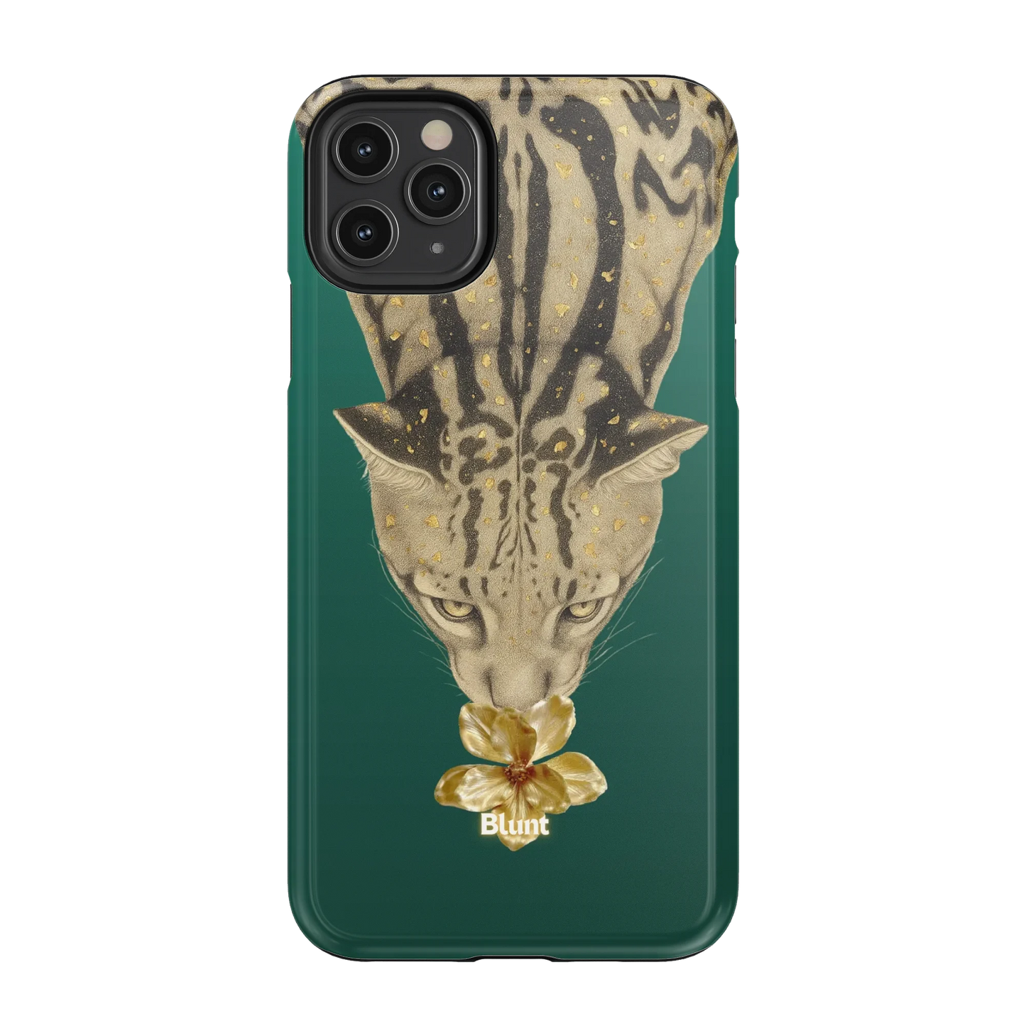Reina iPhone Case