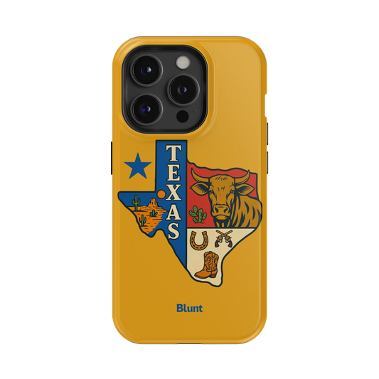 Lone Star iPhone Case