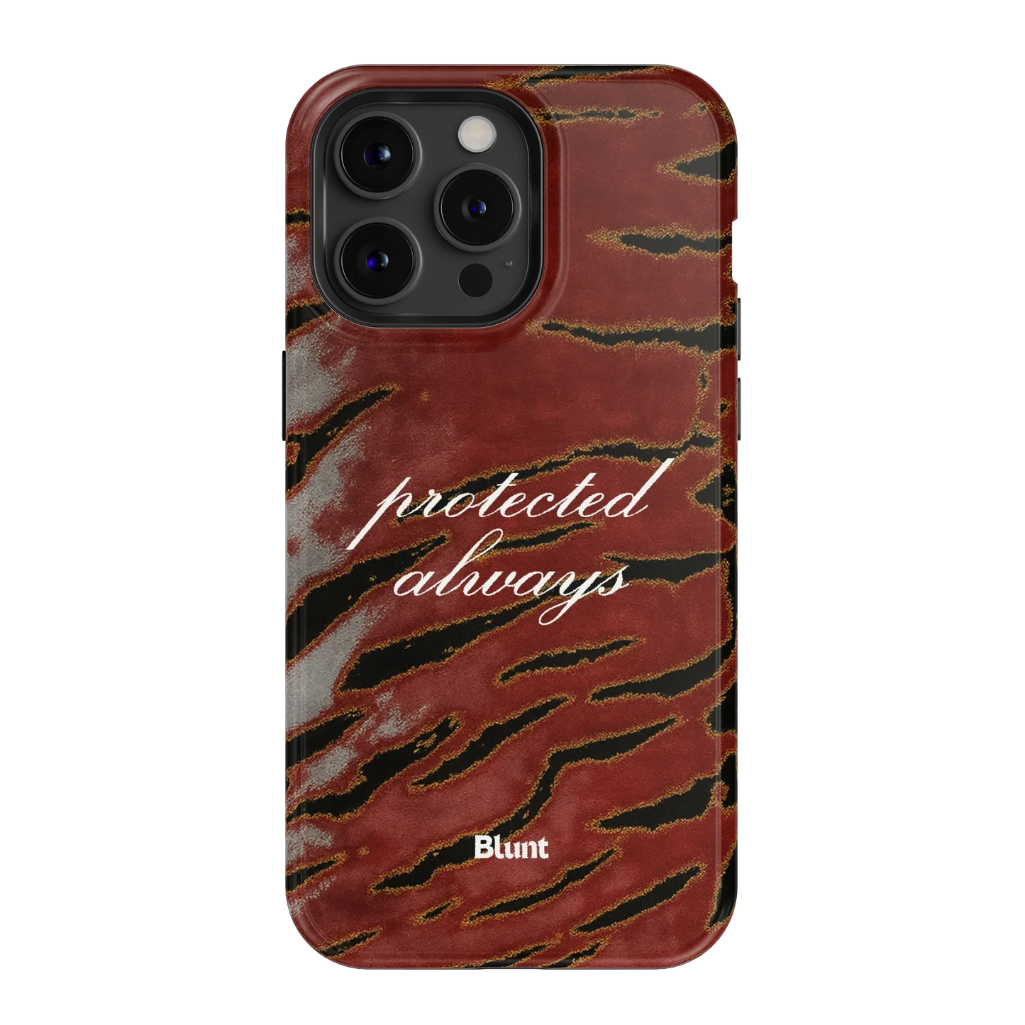 Protected iPhone Case