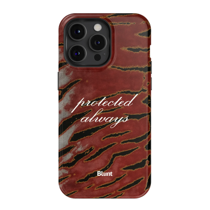Protected iPhone Case