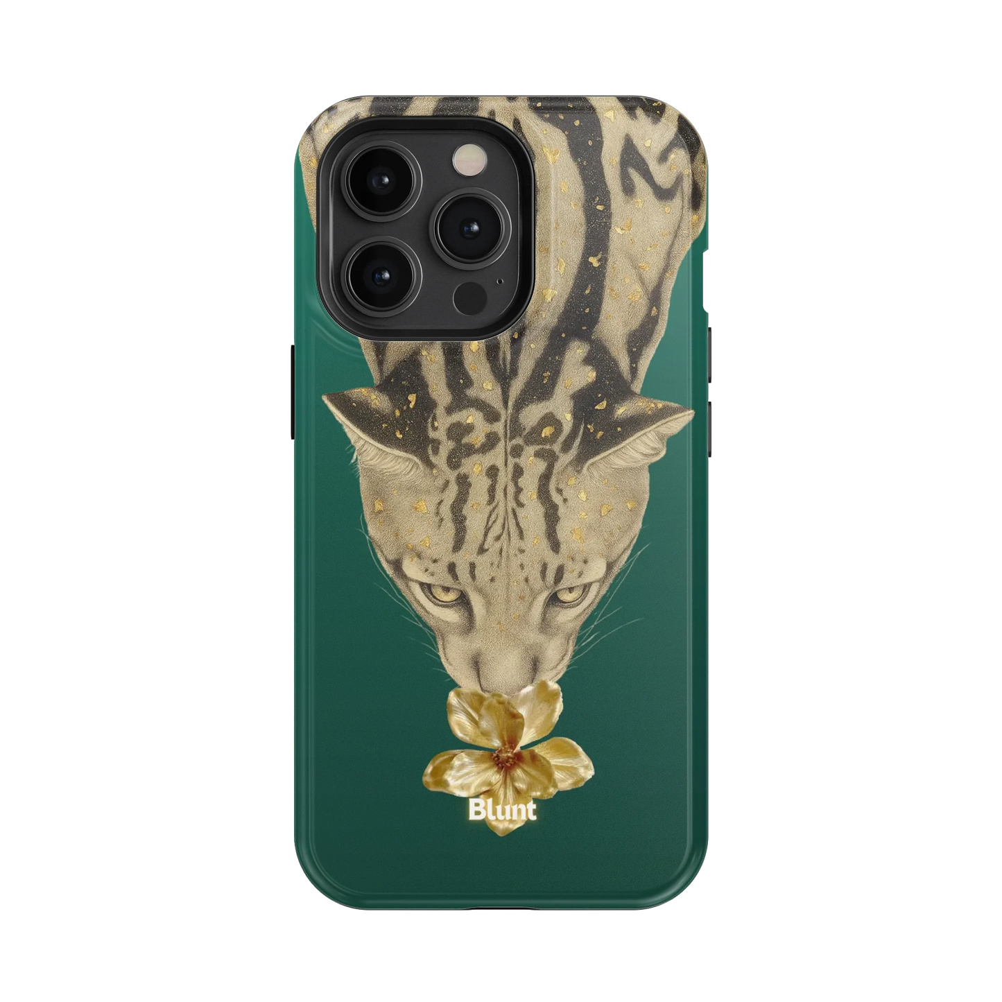 Reina iPhone Case