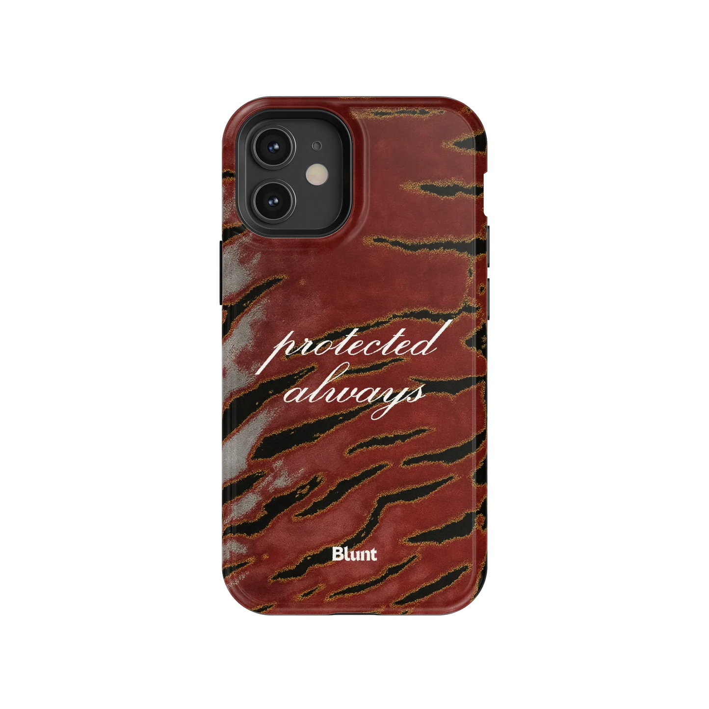 Protected iPhone Case