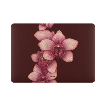 MacBook_Air_6