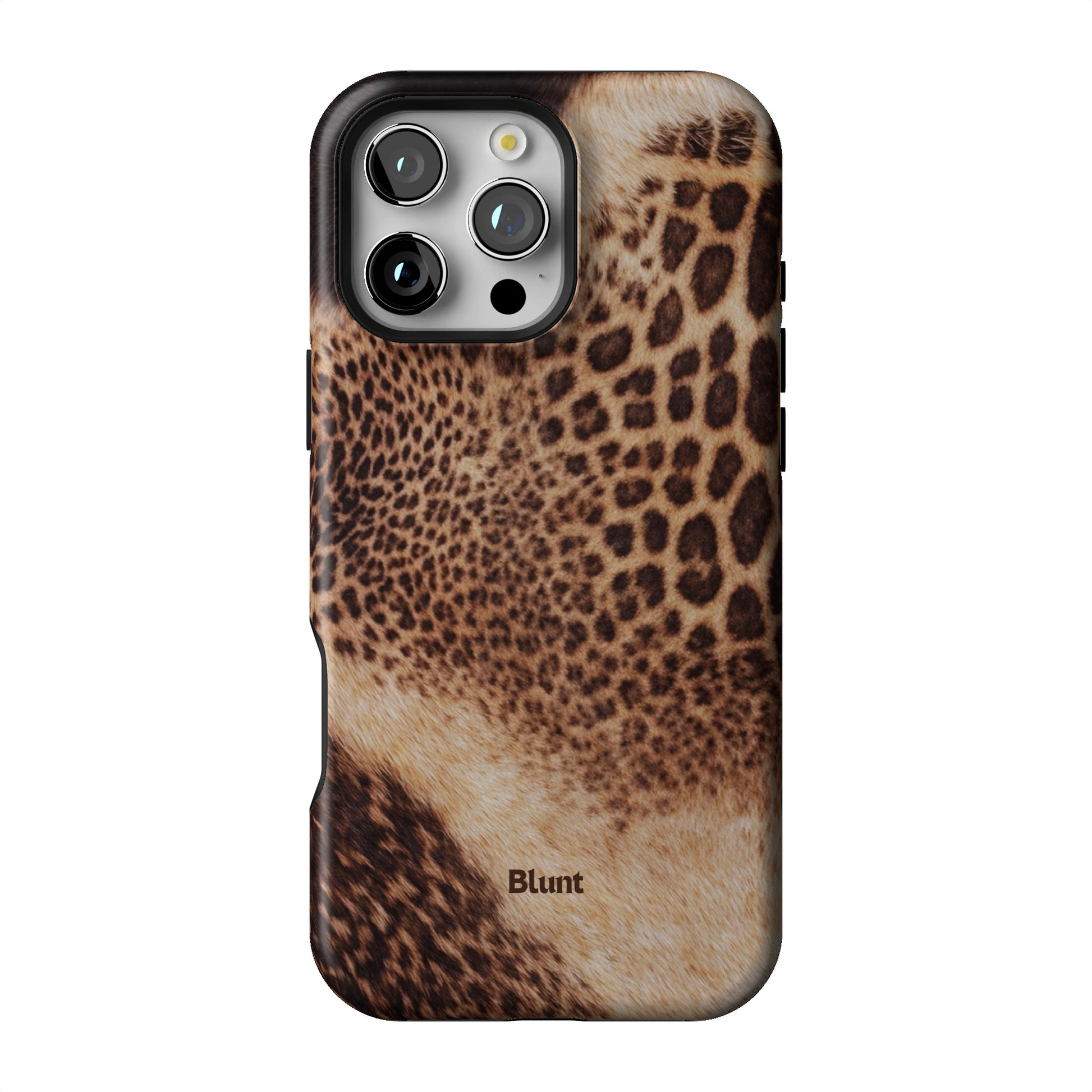 Desert Mirage iPhone Case gallery - Iphone_16_Pro_Max_1