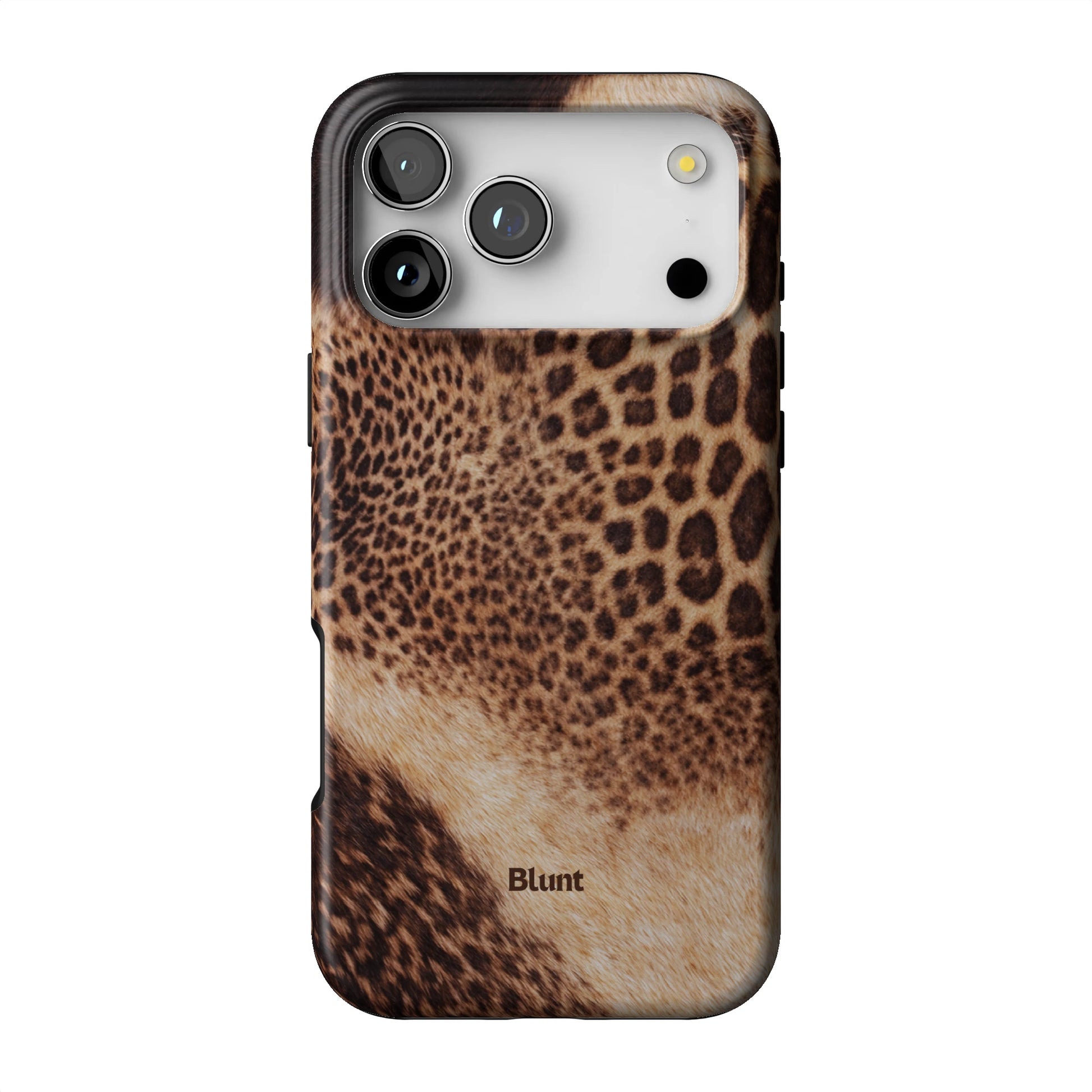 Desert Mirage iPhone Case gallery - Iphone_17_Pro_Max_1