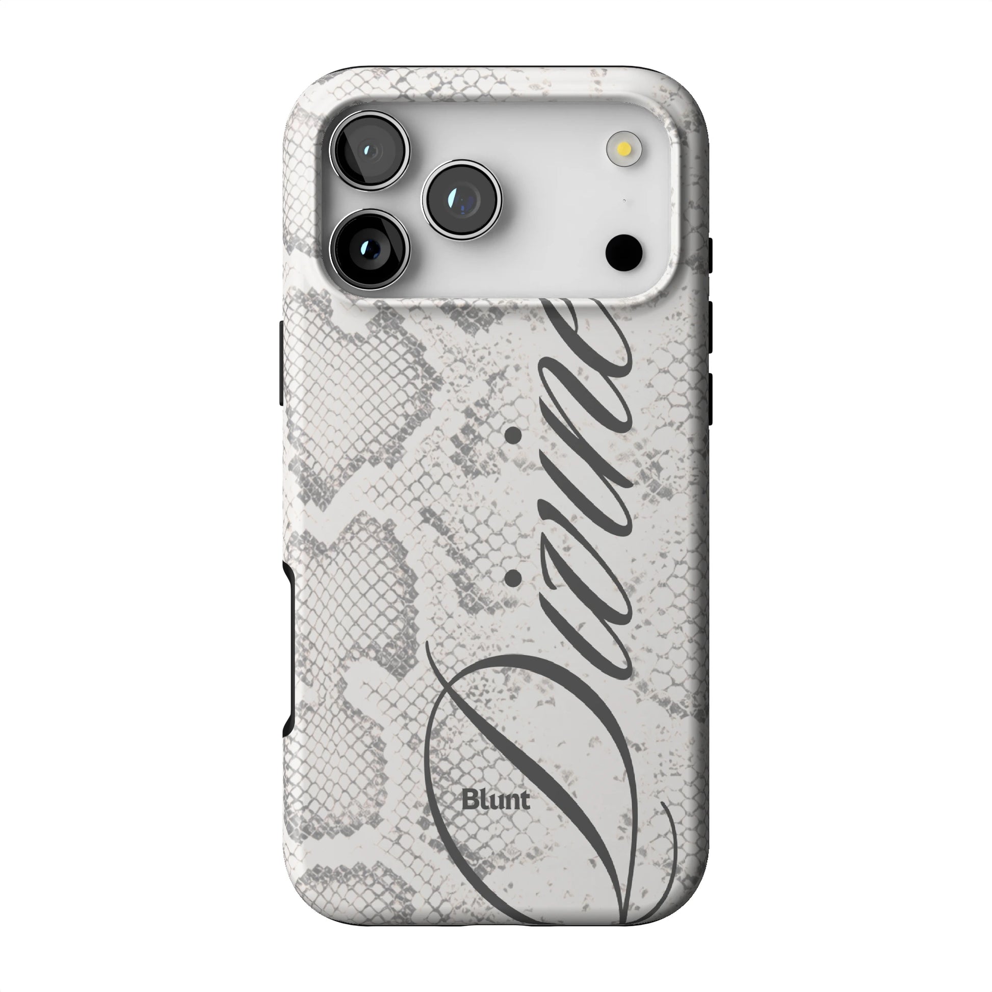 Divine Ivory iPhone Case gallery - Iphone_17_Pro_Max_1
