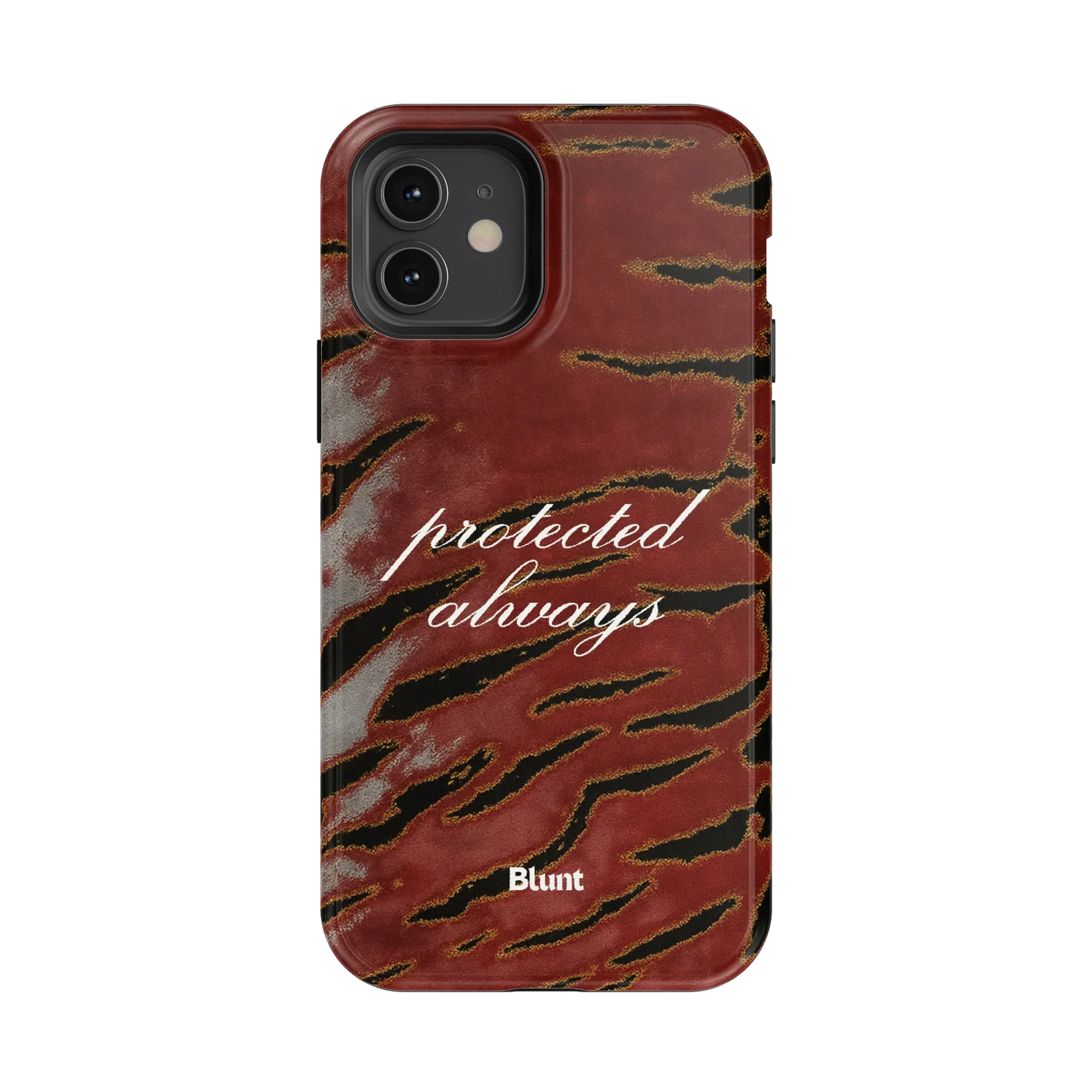 Protected iPhone Case