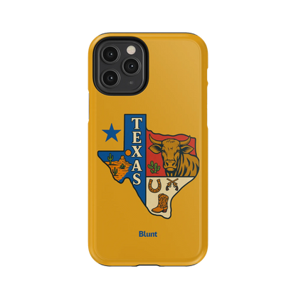 Lone Star iPhone Case