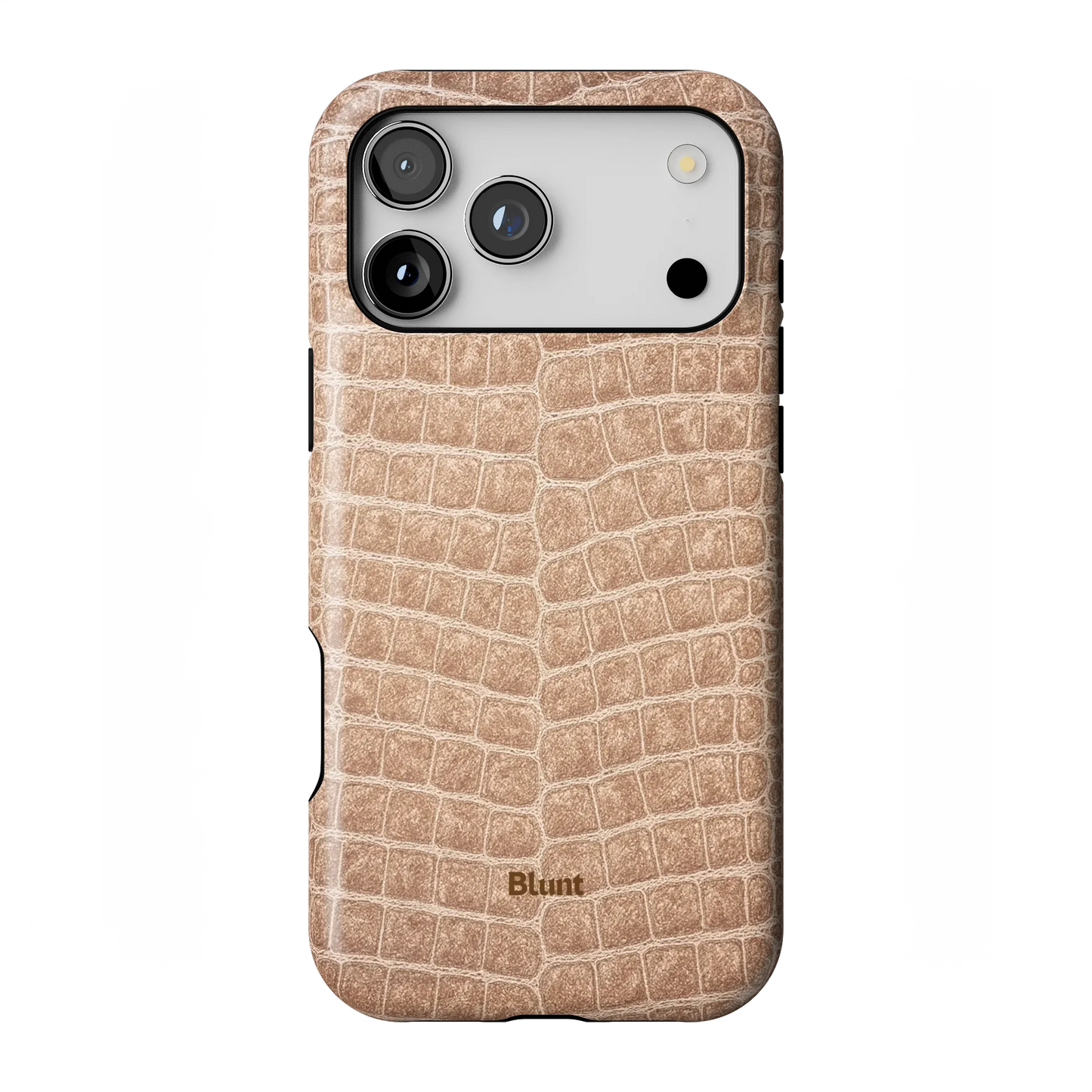 Sandstone iPhone Case
