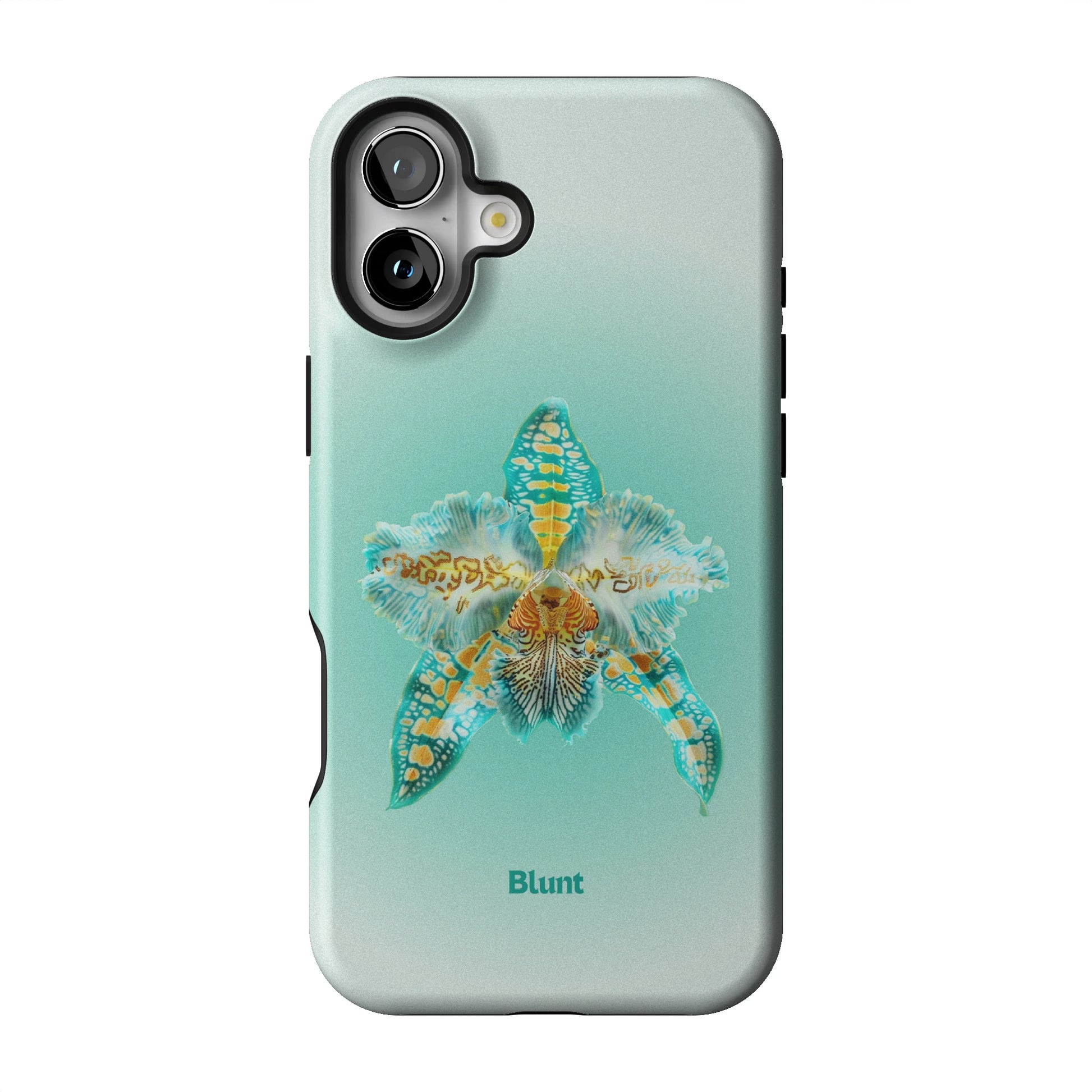 Frosted iPhone Case gallery - Iphone_16_Mini_Air_Plus_1
