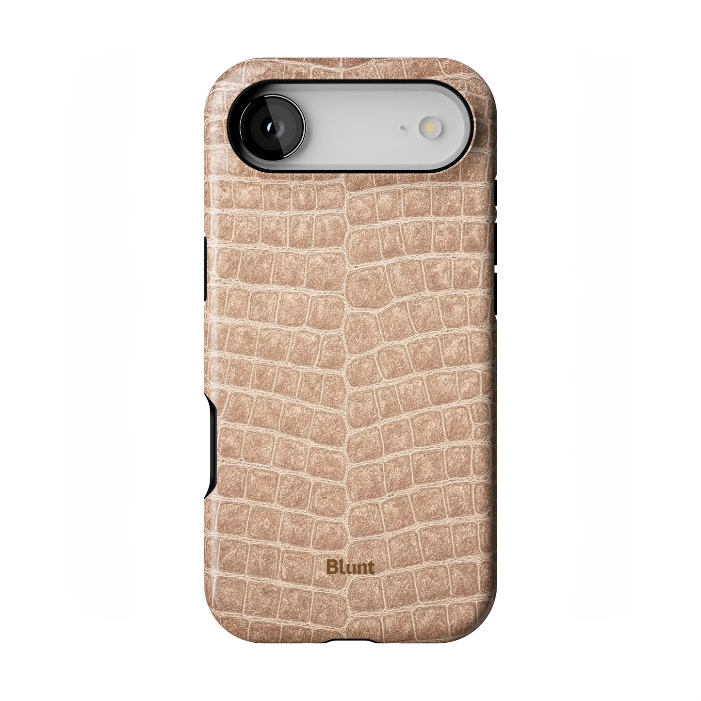 Sandstone iPhone Case