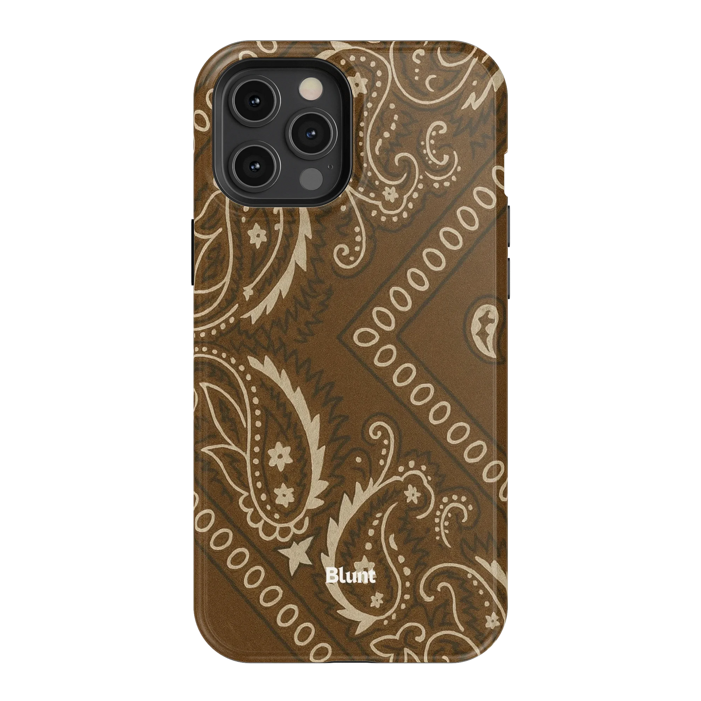 Paisley Ranch iPhone Case