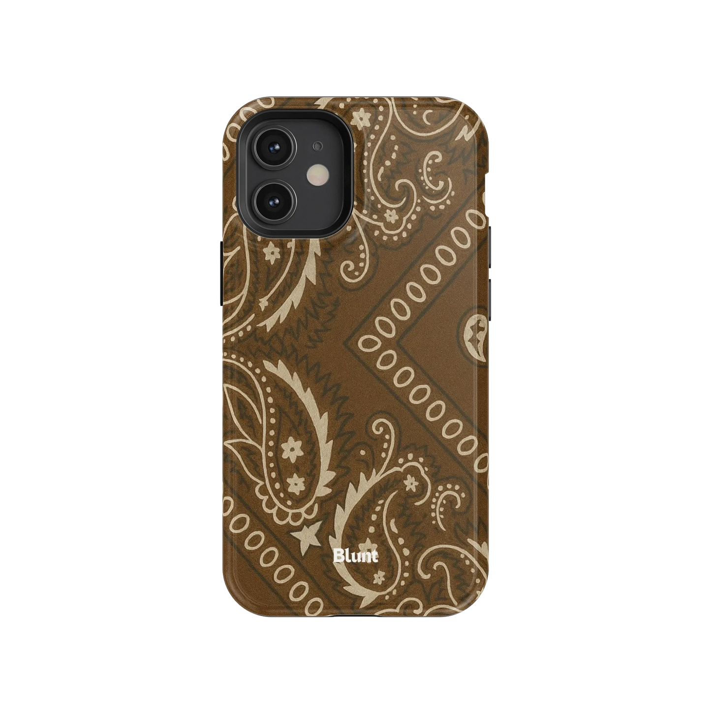 Paisley Ranch iPhone Case