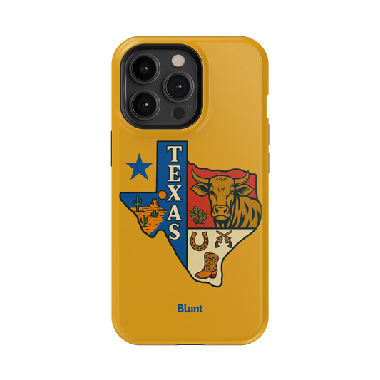 Lone Star iPhone Case
