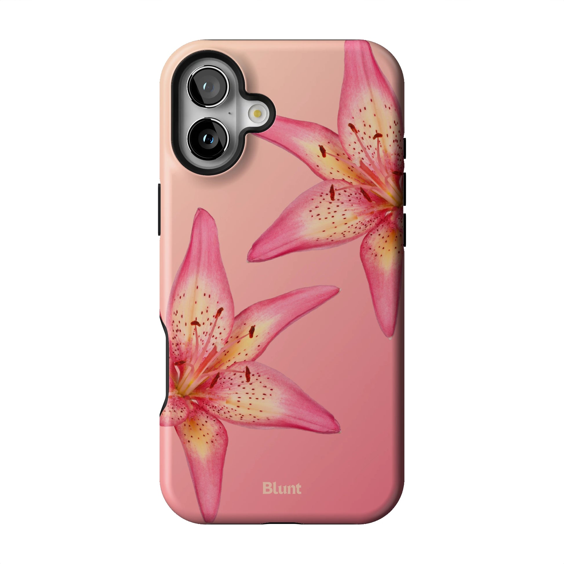 Hibiscus iPhone Case gallery - Iphone_16_Mini_Air_Plus_1