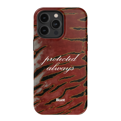 Protected iPhone Case