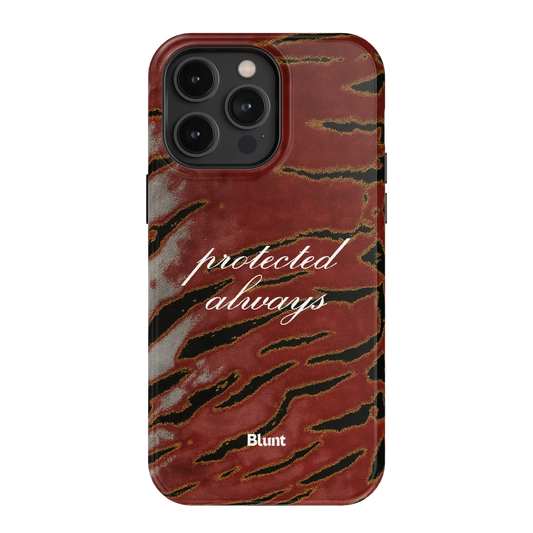 Protected iPhone Case