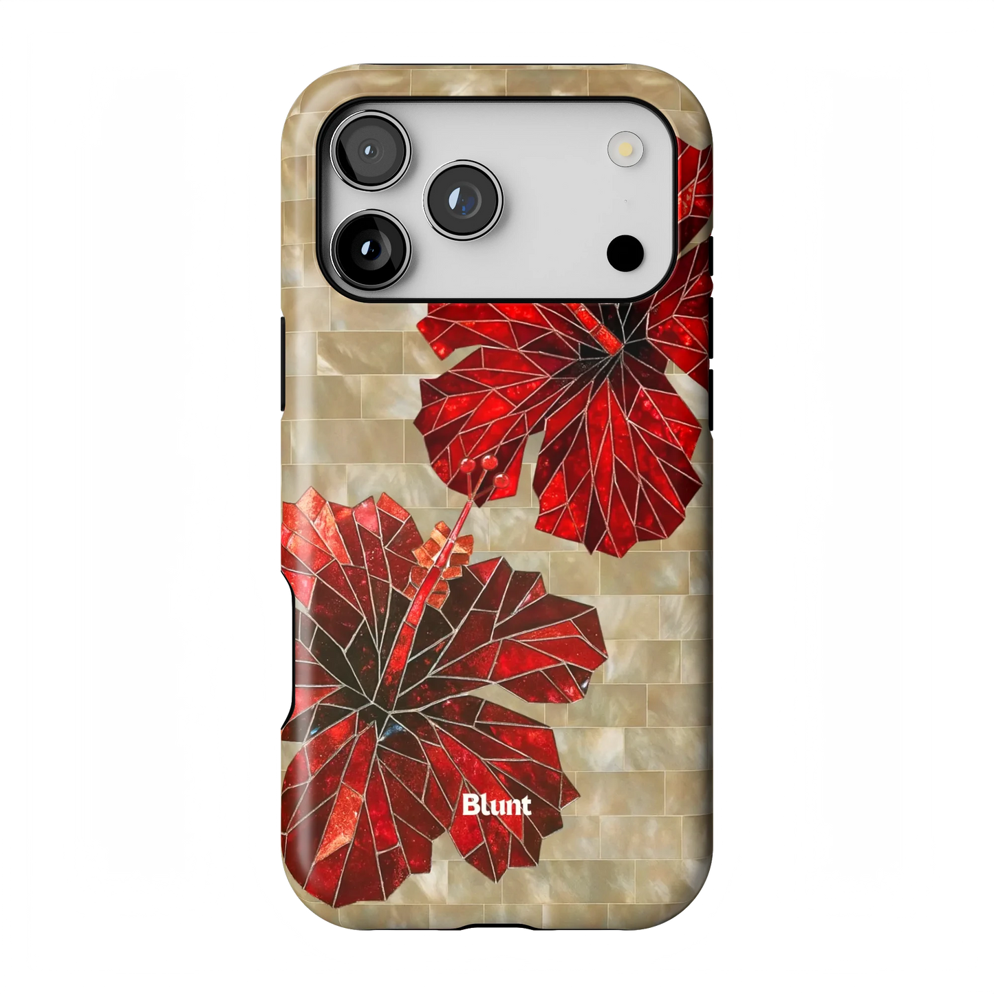 Ruby Stone iPhone Case