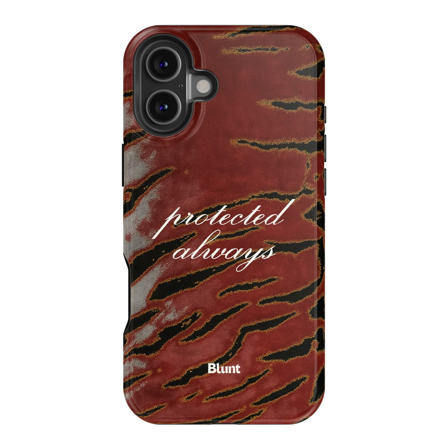 Protected iPhone Case