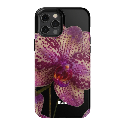 Violetta iPhone Case