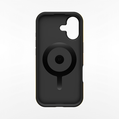 Aster iPhone Case