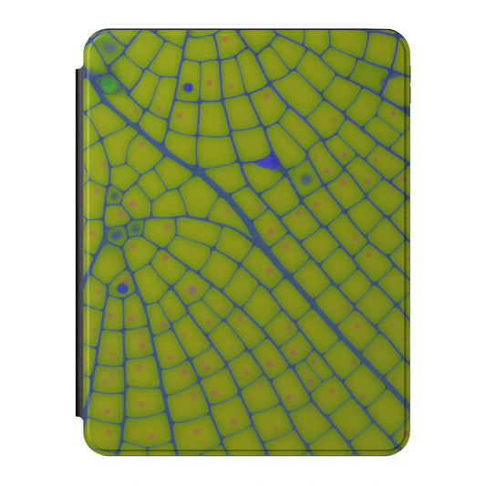 iPad_Branded_11inch_2