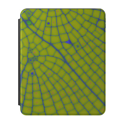 iPad_Branded_13inch_2