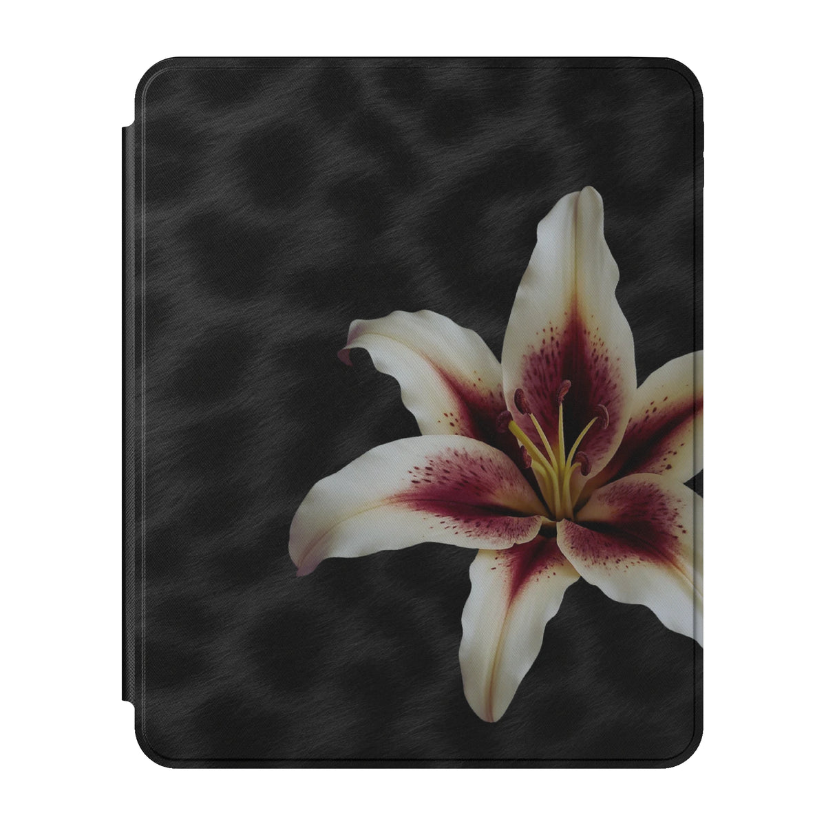 iPad_Branded_13inch_2