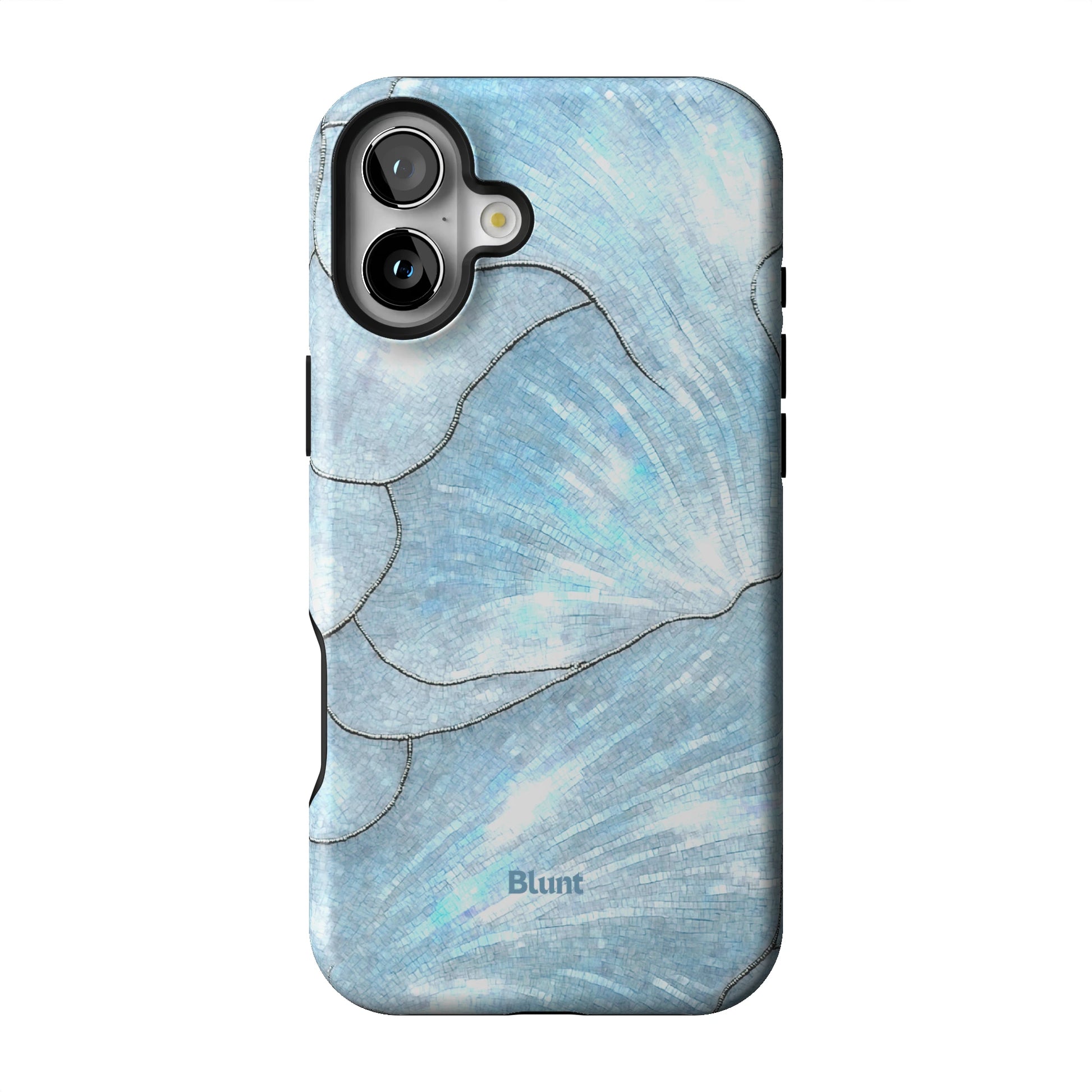 Icy Bloom iPhone Case gallery - Iphone_16_Mini_Air_Plus_1