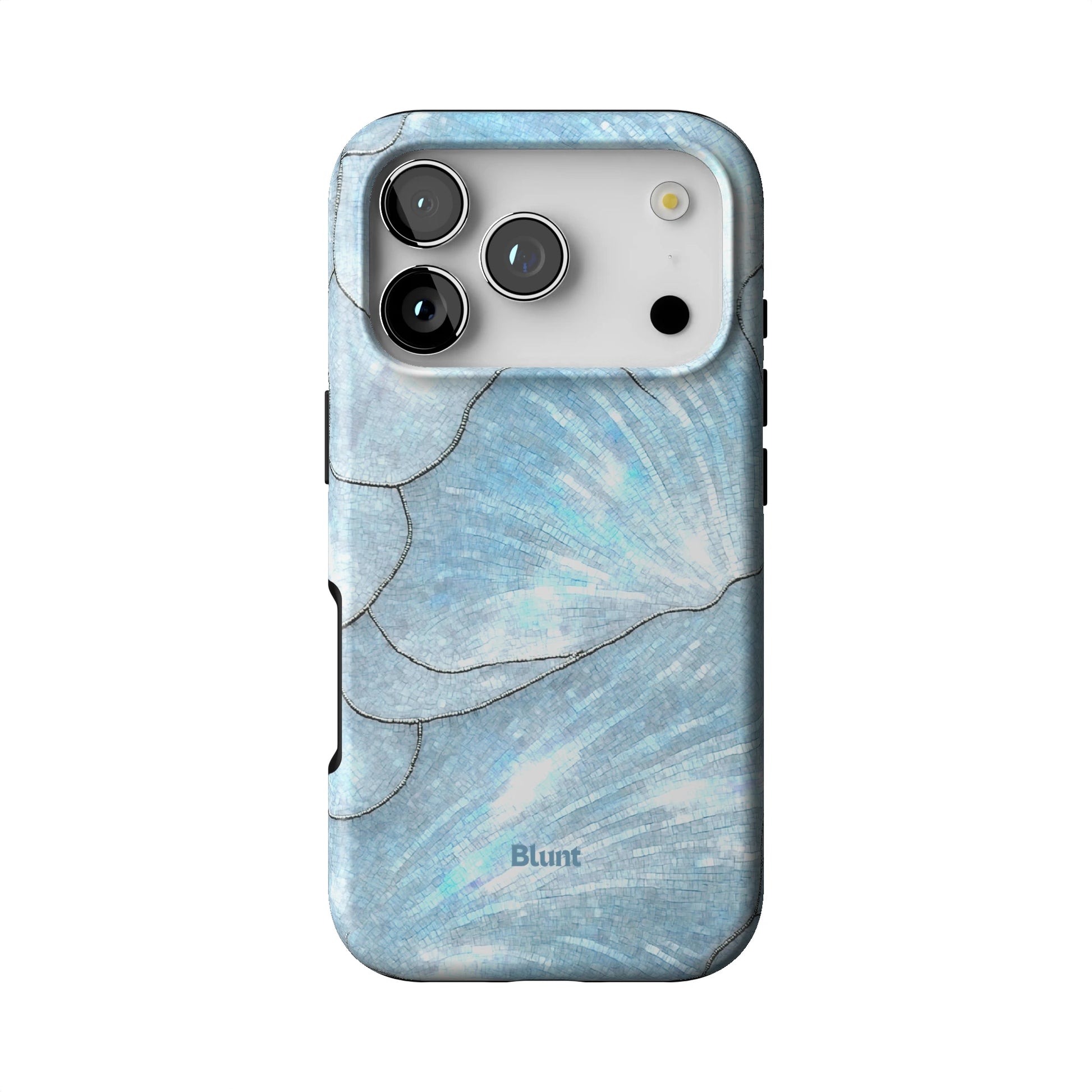 Icy Bloom iPhone Case gallery - Iphone_17_Pro_1