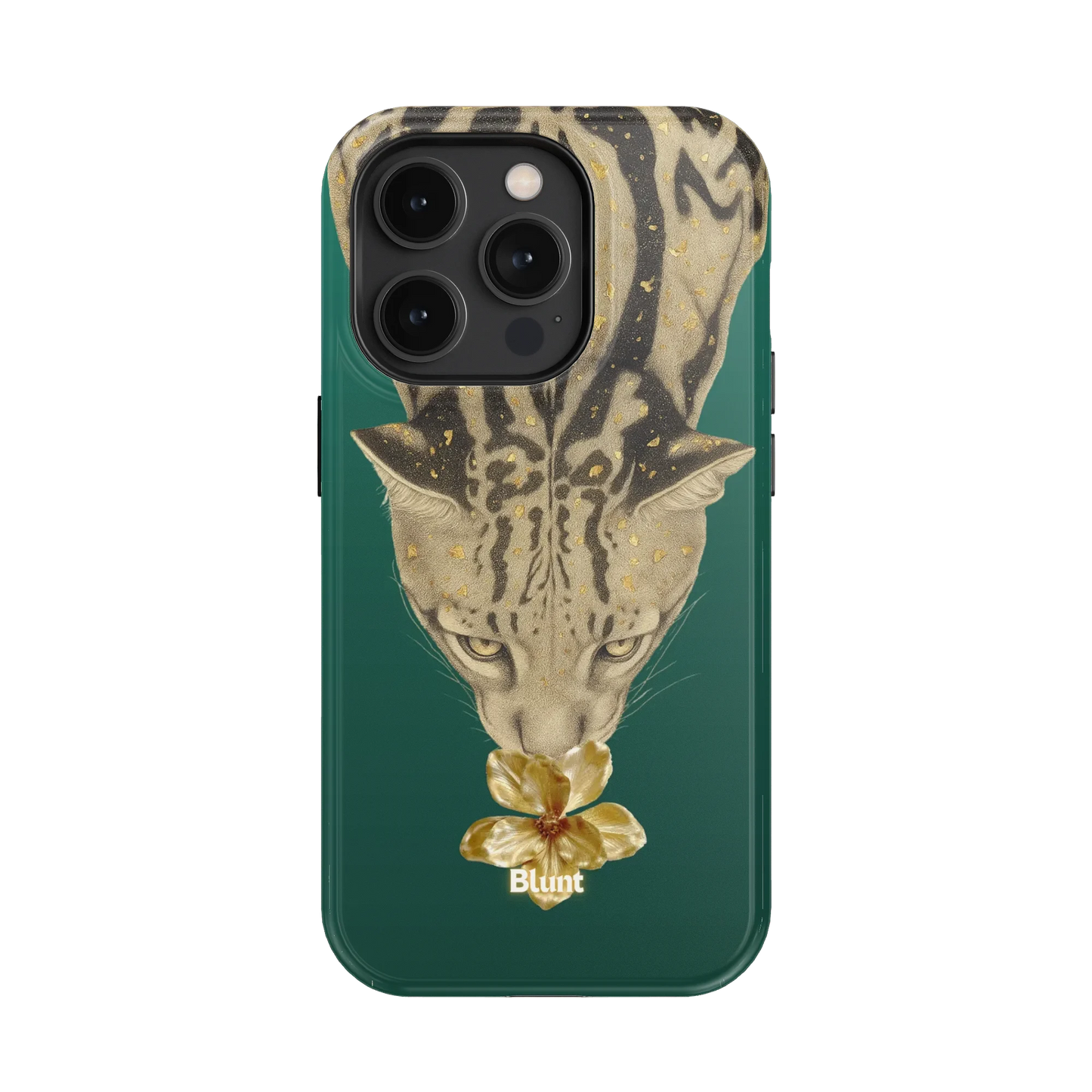 Reina iPhone Case
