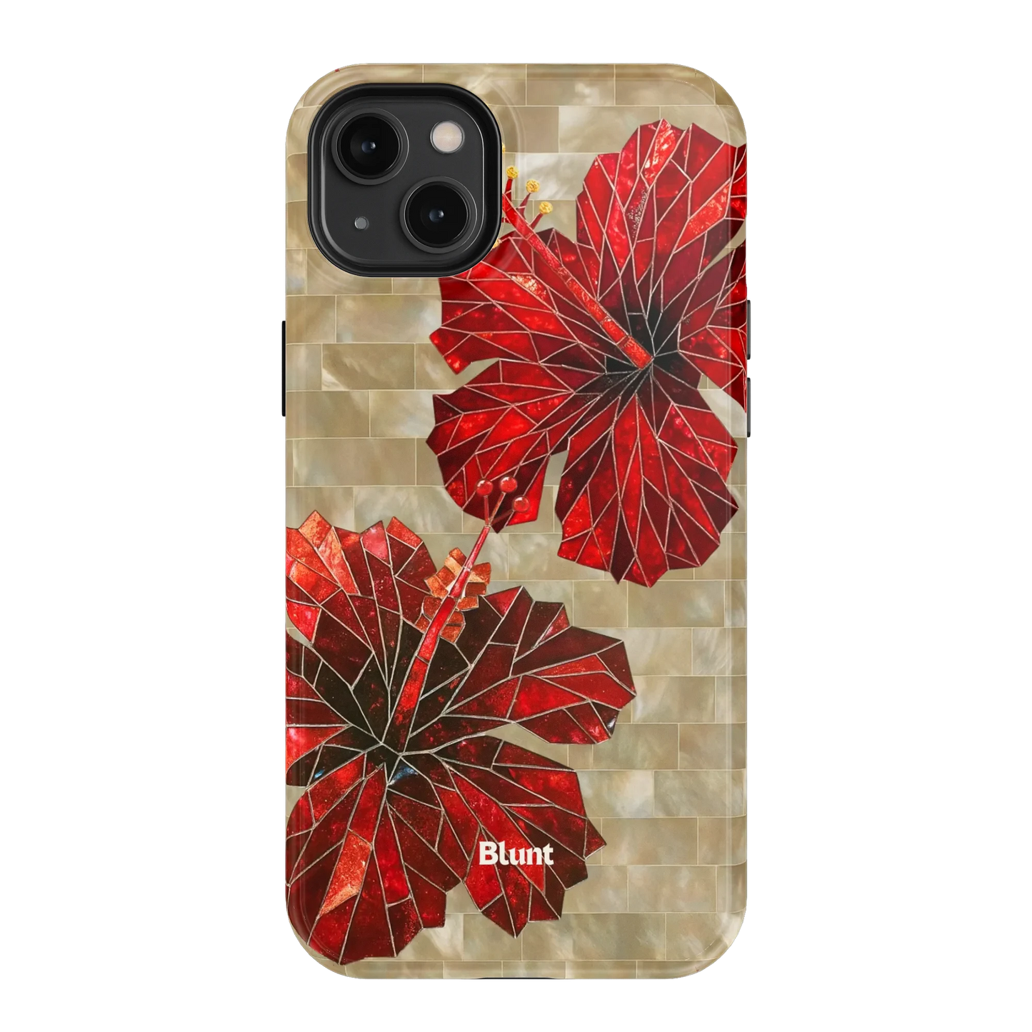 Ruby Stone iPhone Case