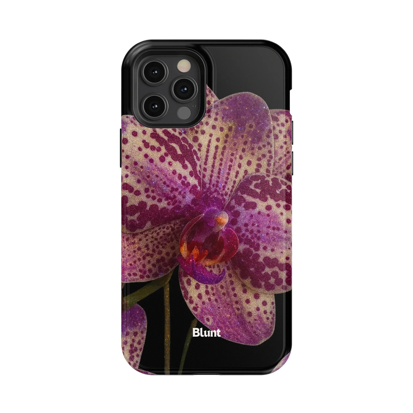 Violetta iPhone Case