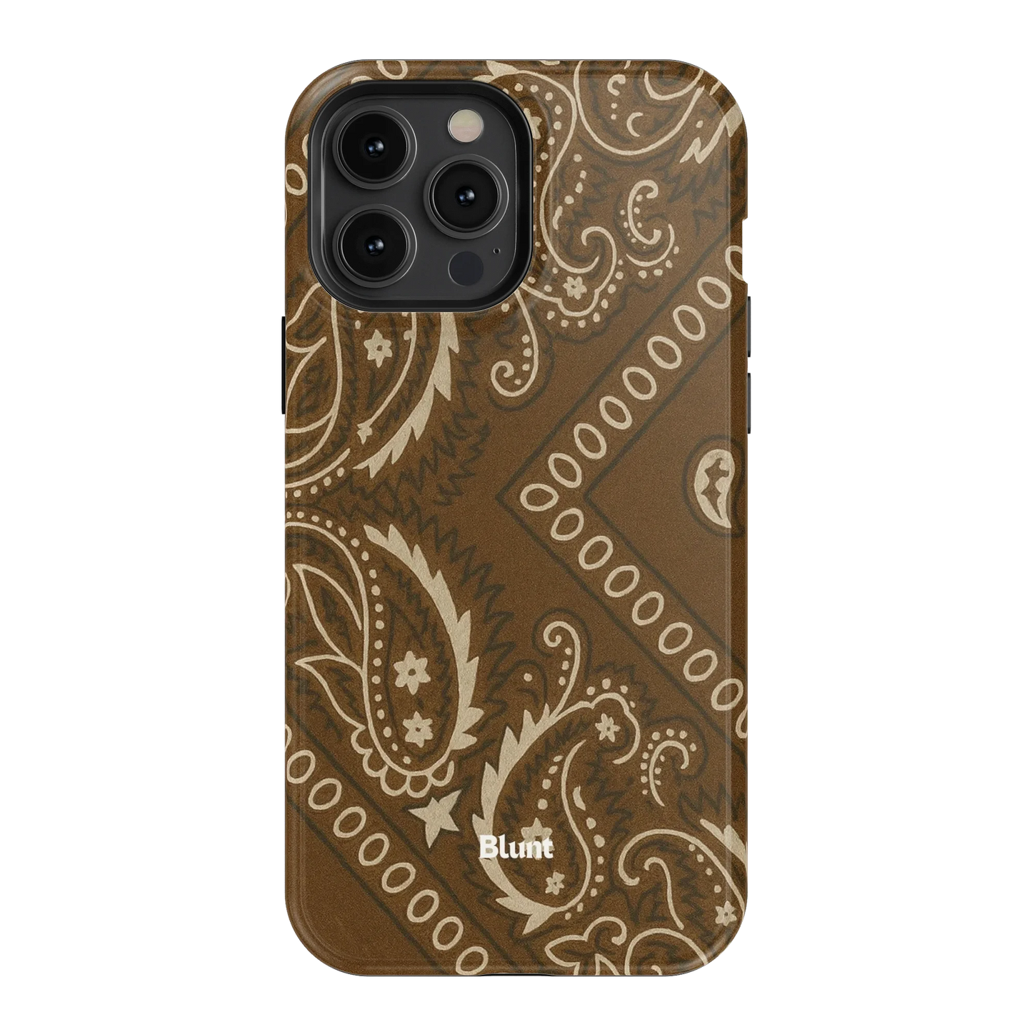 Paisley Ranch iPhone Case