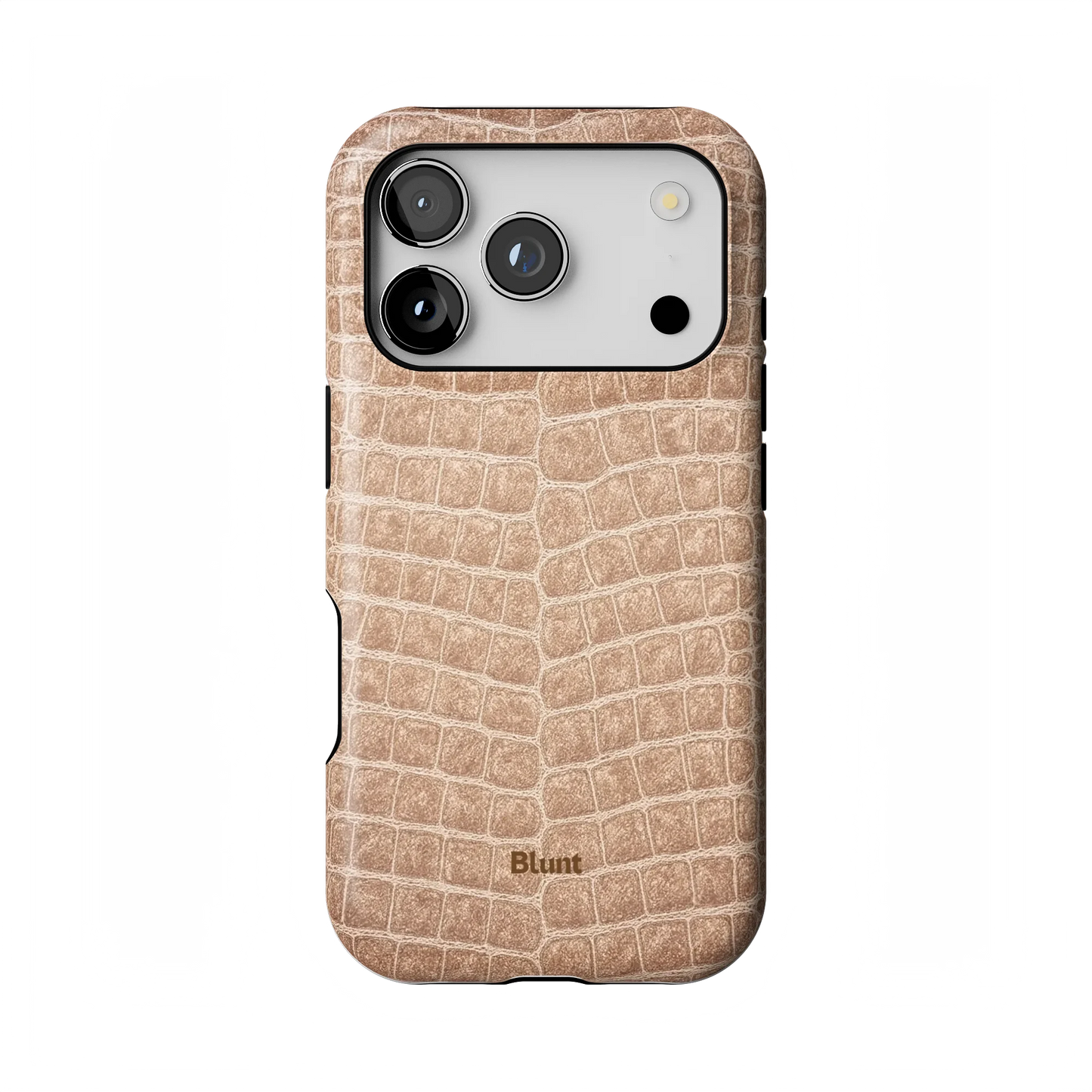 Sandstone iPhone Case