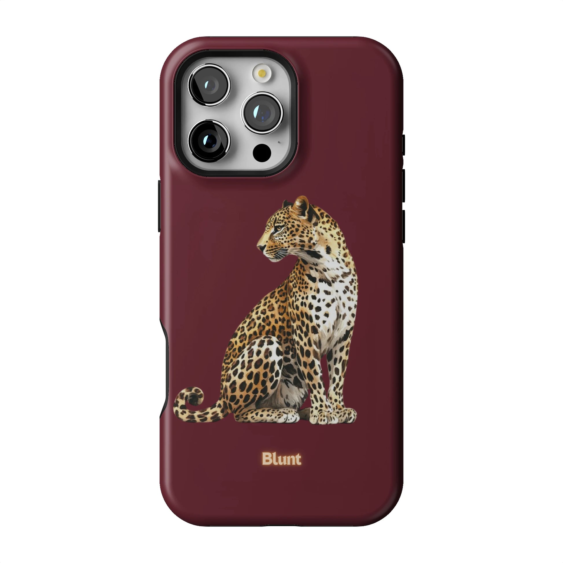 Keyari iPhone Case gallery - Iphone_16_Pro_Max_1