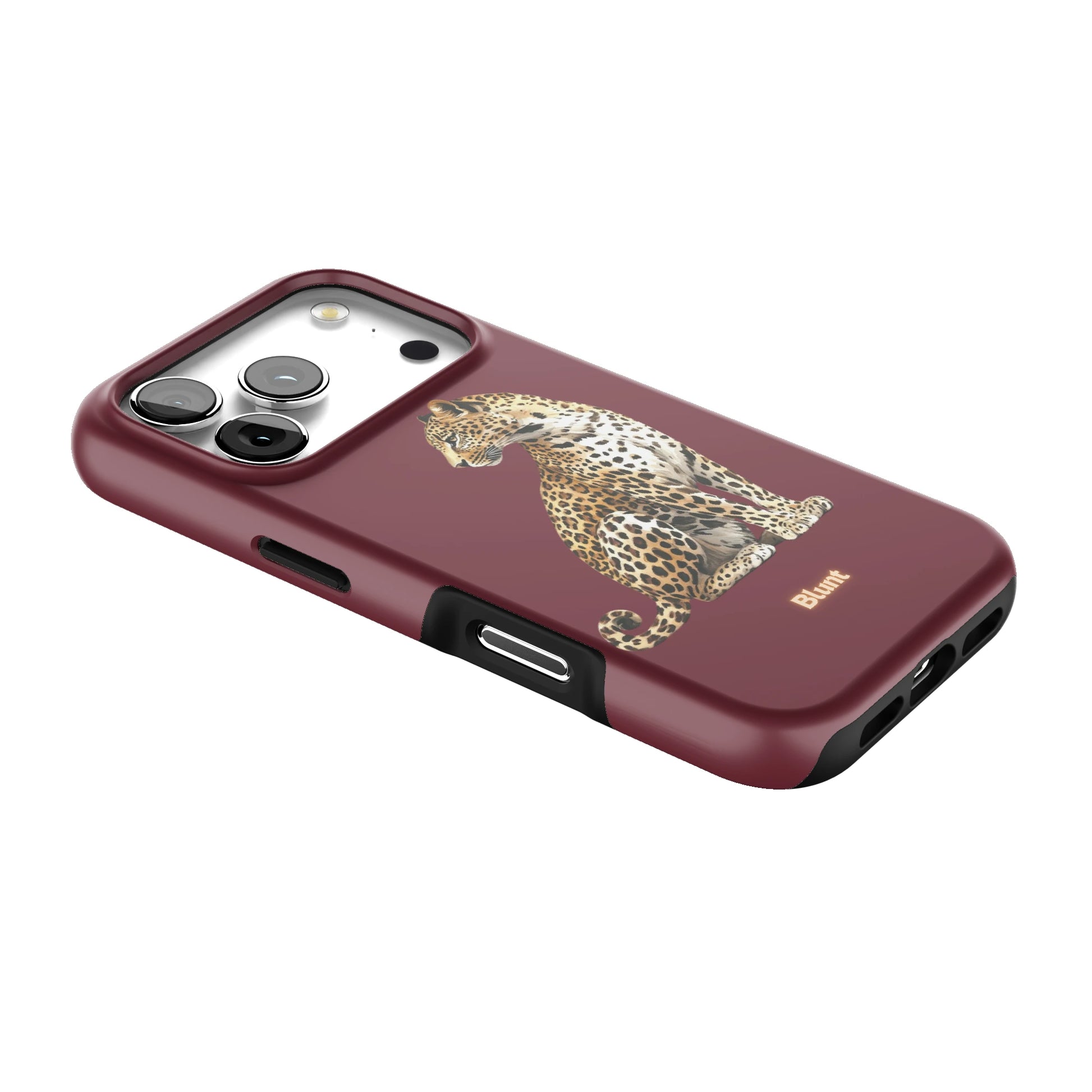 Keyari iPhone Case gallery - Iphone_17_Pro_2