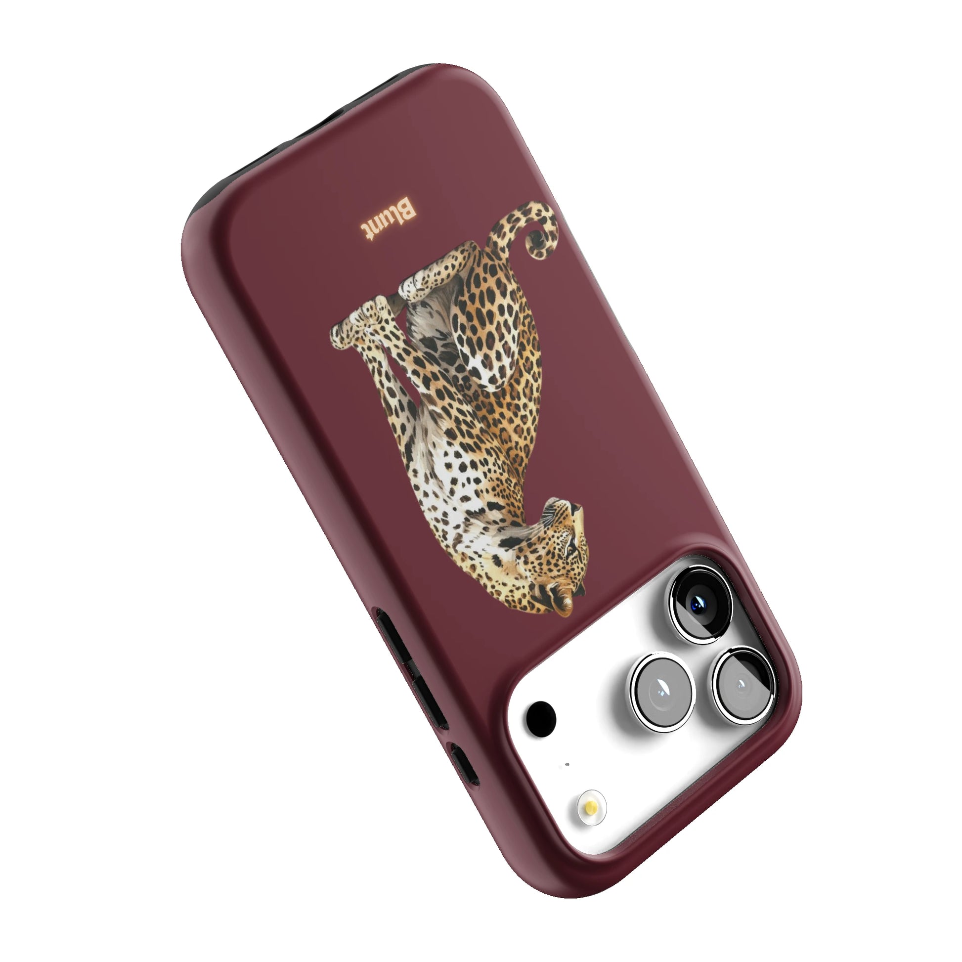 Keyari iPhone Case gallery - Iphone_17_Pro_5