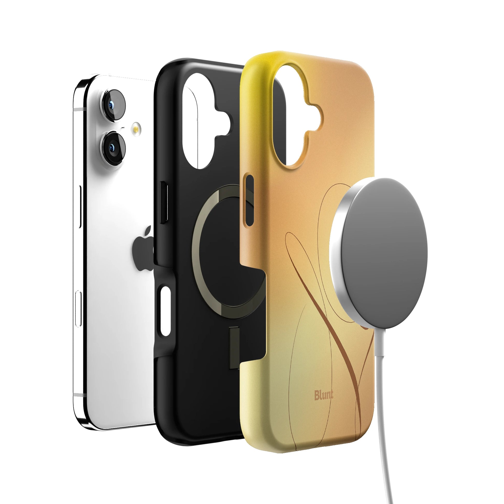 Leo iPhone Case gallery - Iphone_17_Iphone_4
