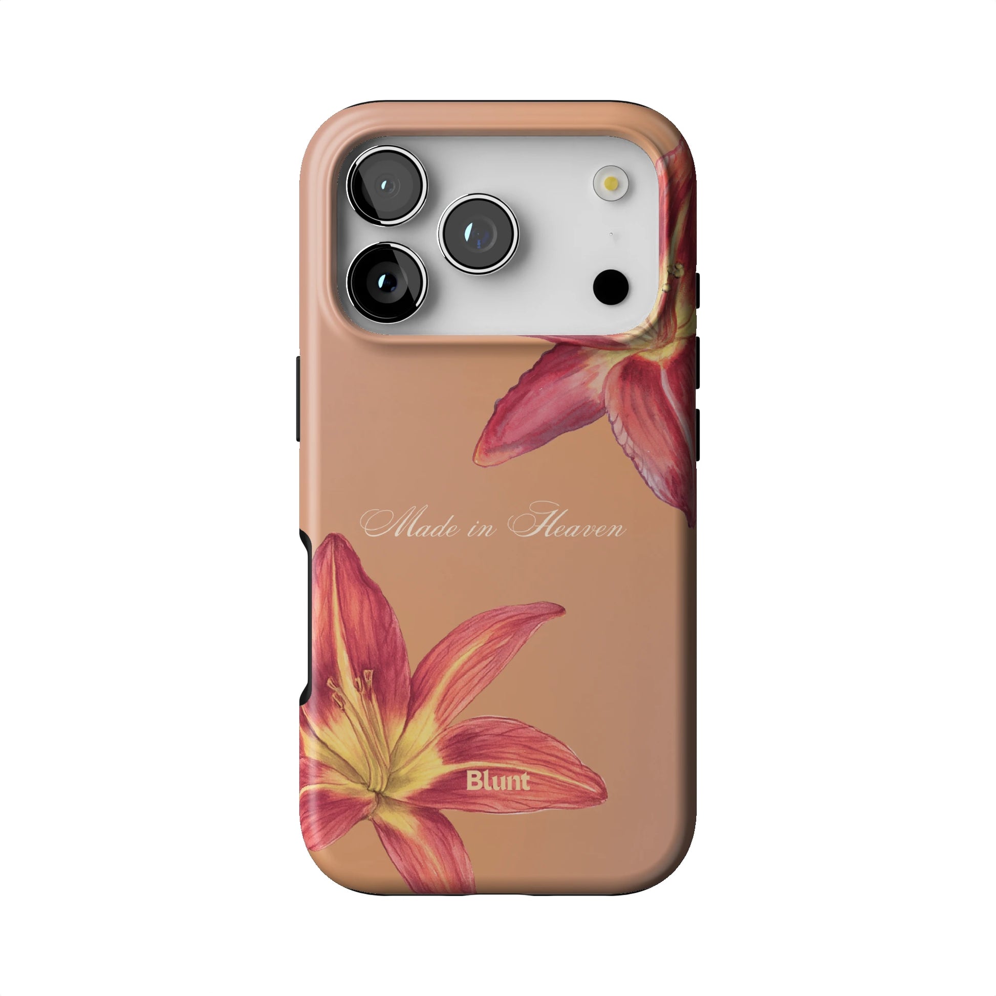 Made in Heaven iPhone Case gallery - Iphone_17_Pro_1
