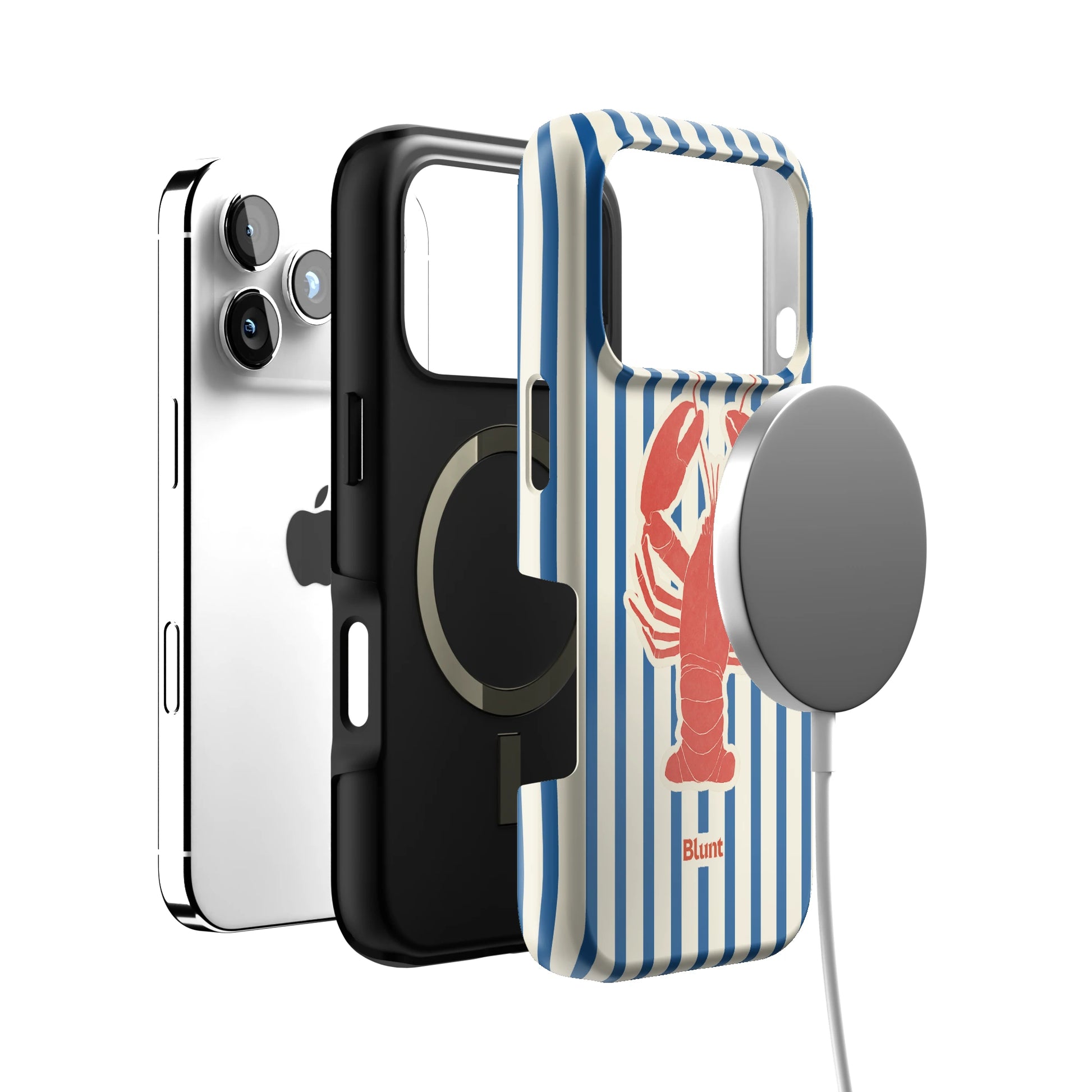 Eastport iPhone Case gallery - Iphone_17_Pro_4