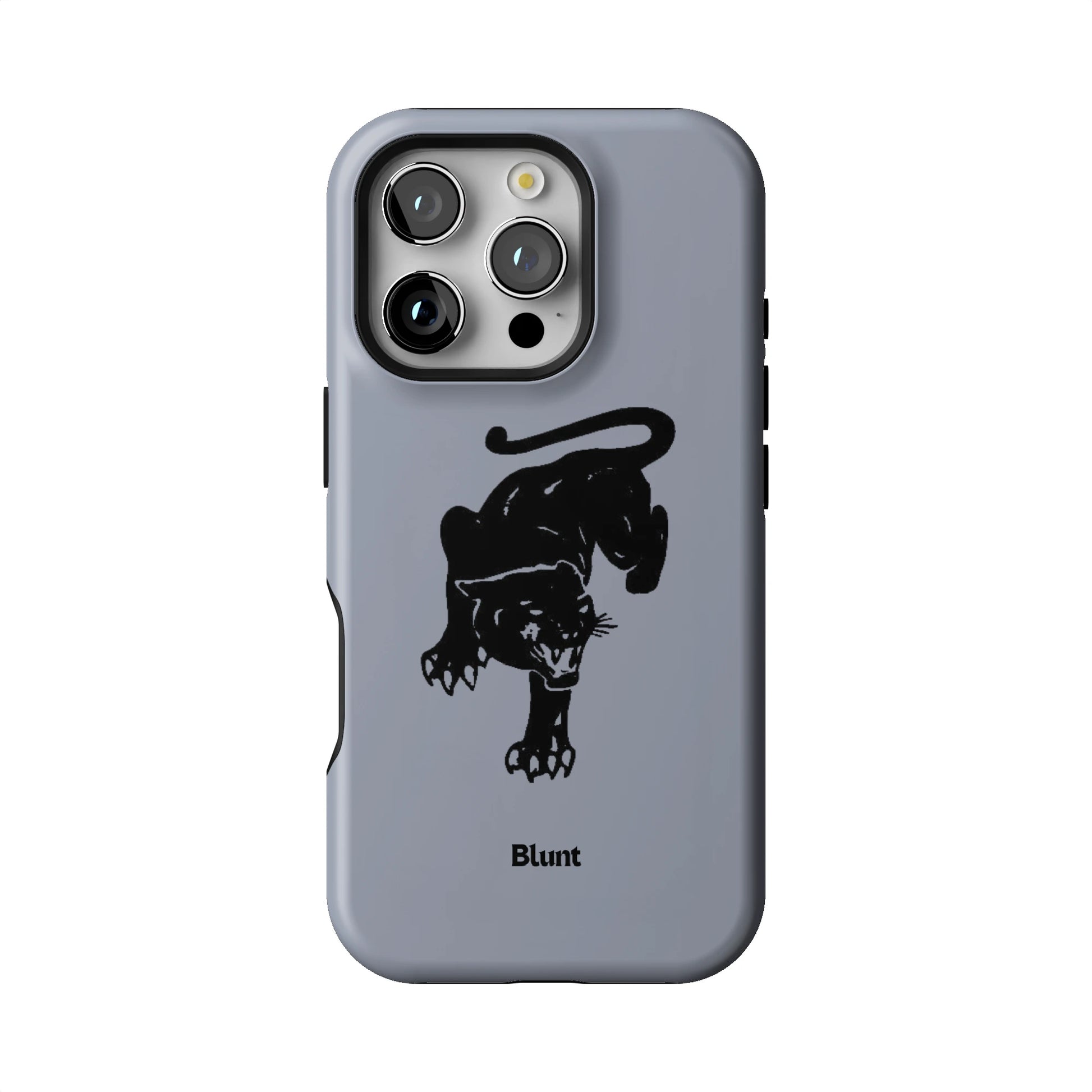 Panth iPhone Case gallery - Iphone_16_Pro_1