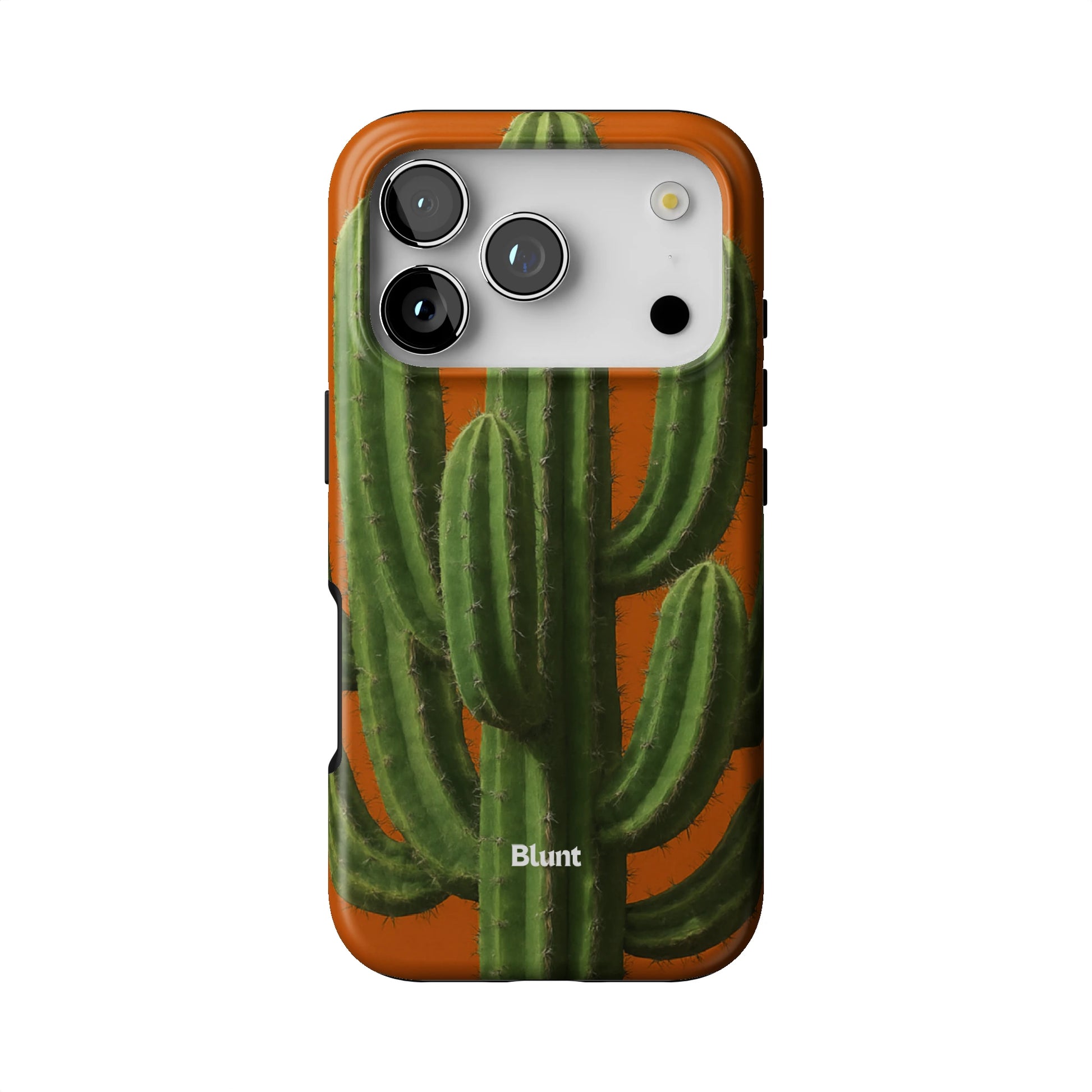 Wild West iPhone Case gallery - Iphone_17_Pro_1
