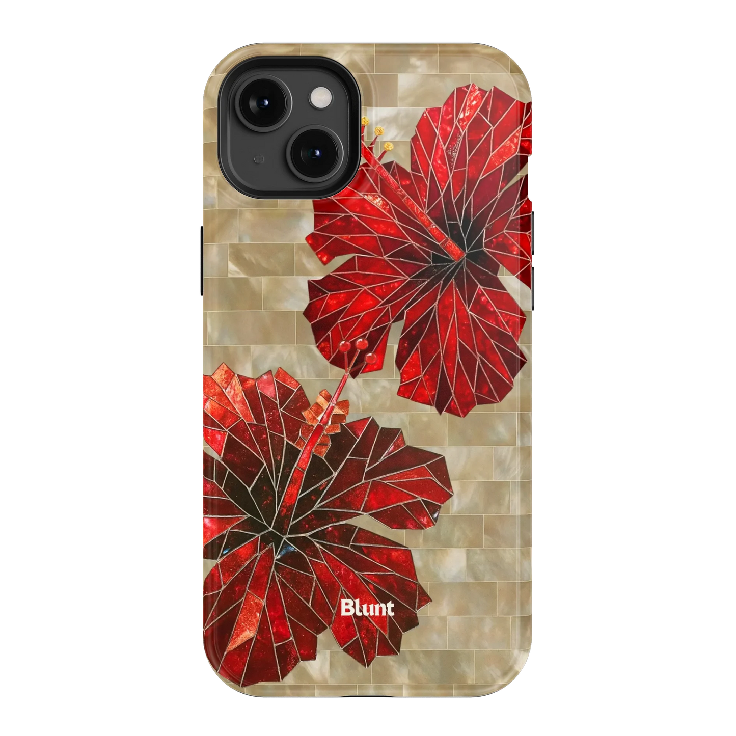 Ruby Stone iPhone Case